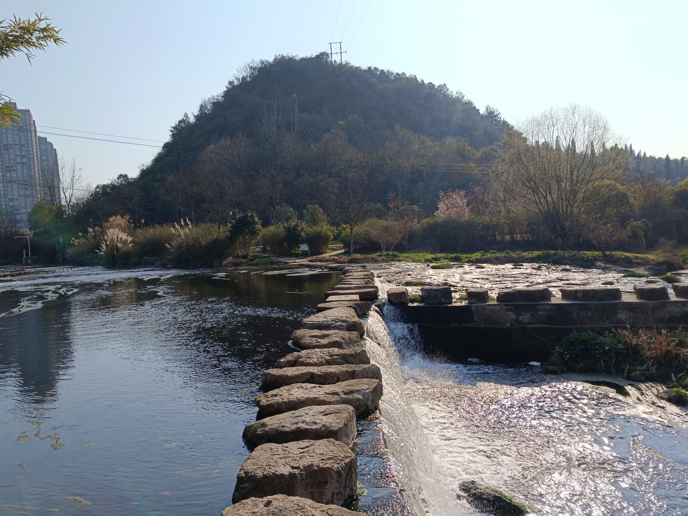 老马河湿地公园旅行图片 3