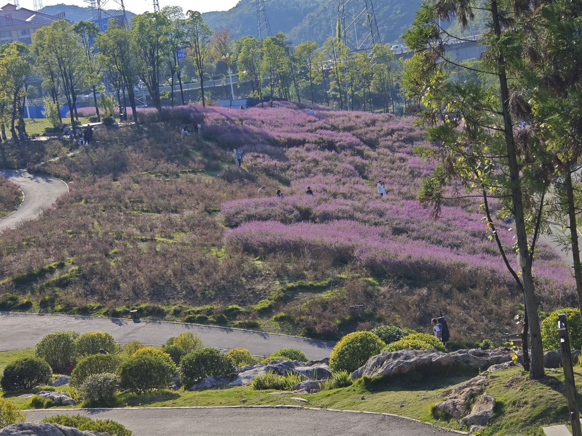 老马河湿地公园旅行图片 3