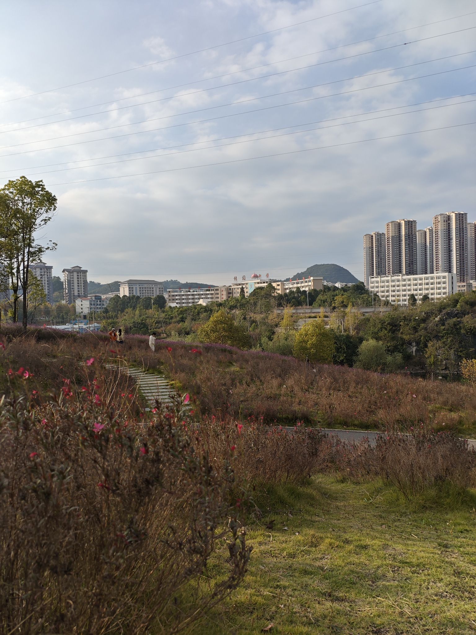 老马河湿地公园旅行图片 3