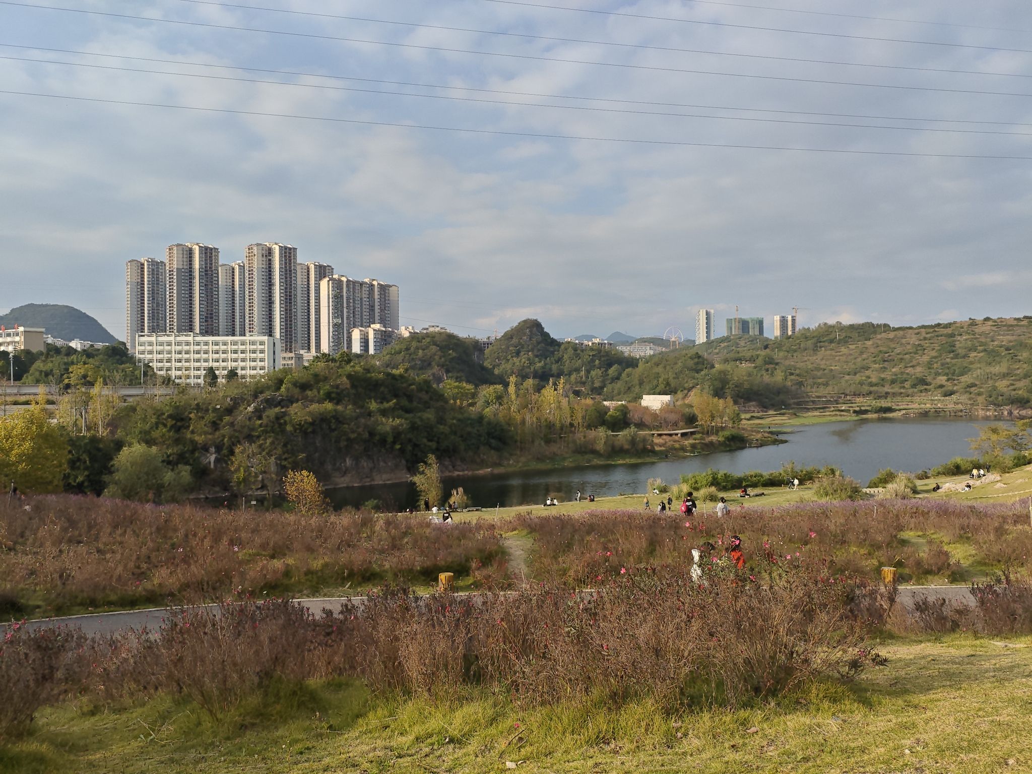 老马河湿地公园旅行图片 1