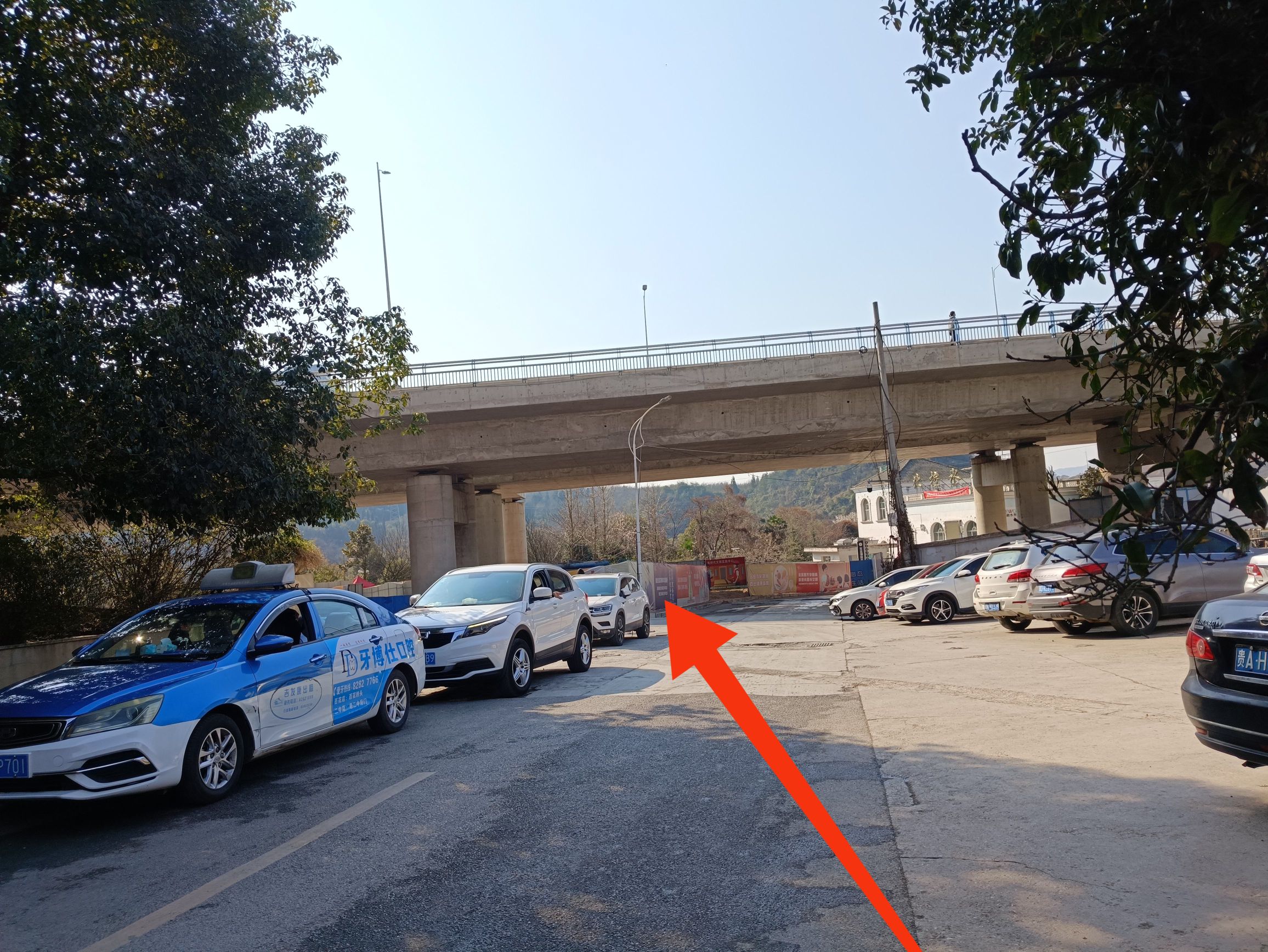 老马河湿地公园旅行图片 1