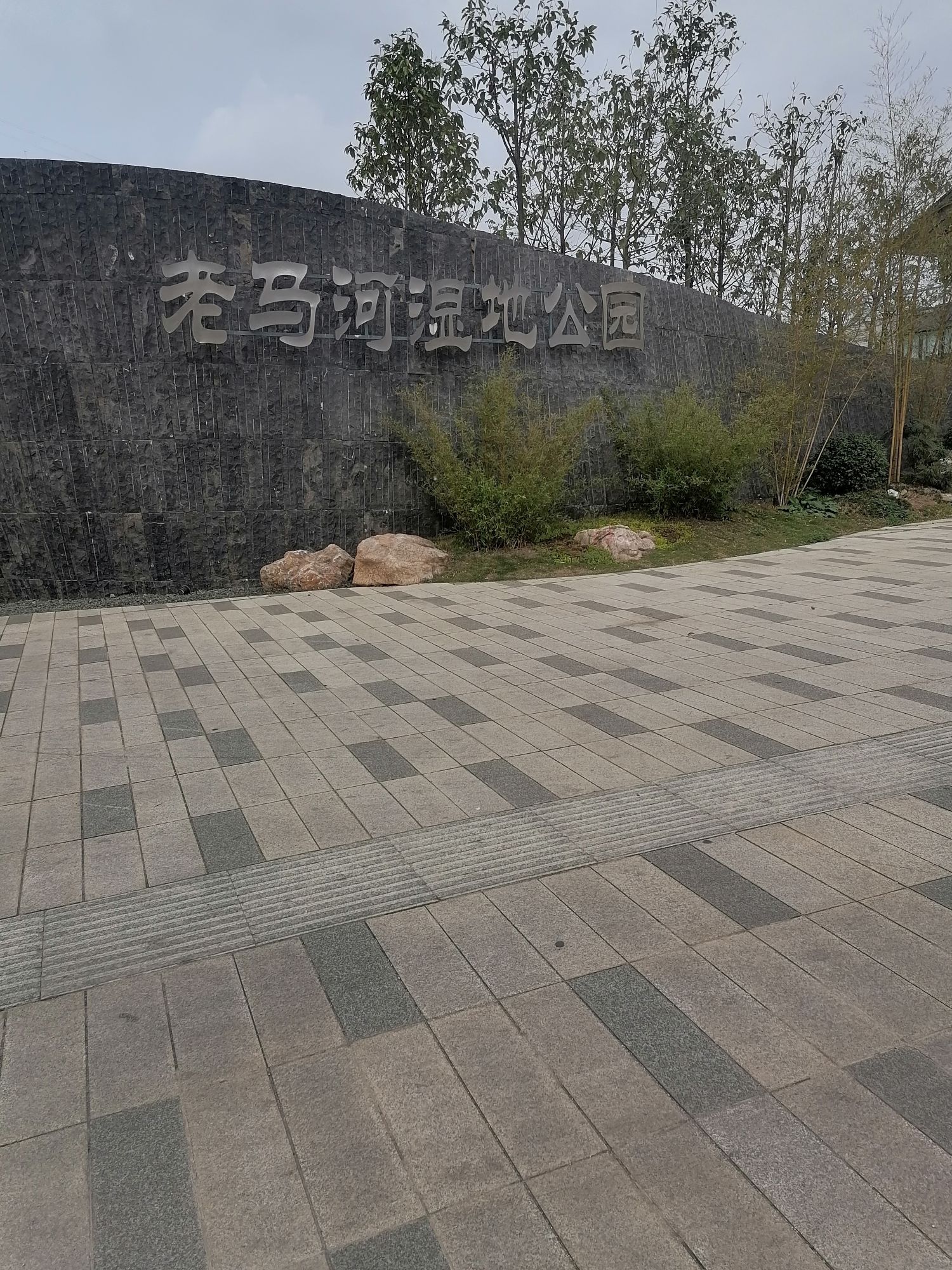 老马河湿地公园旅行图片 1