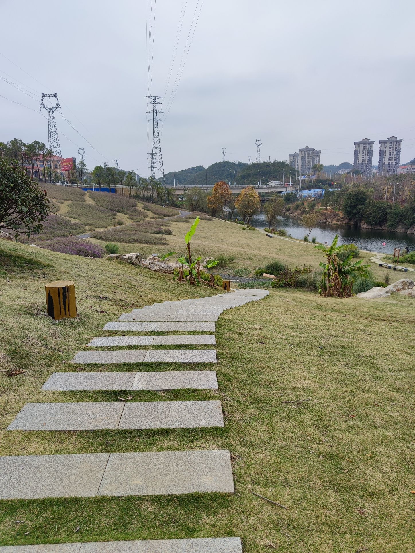 老马河湿地公园旅行图片 3