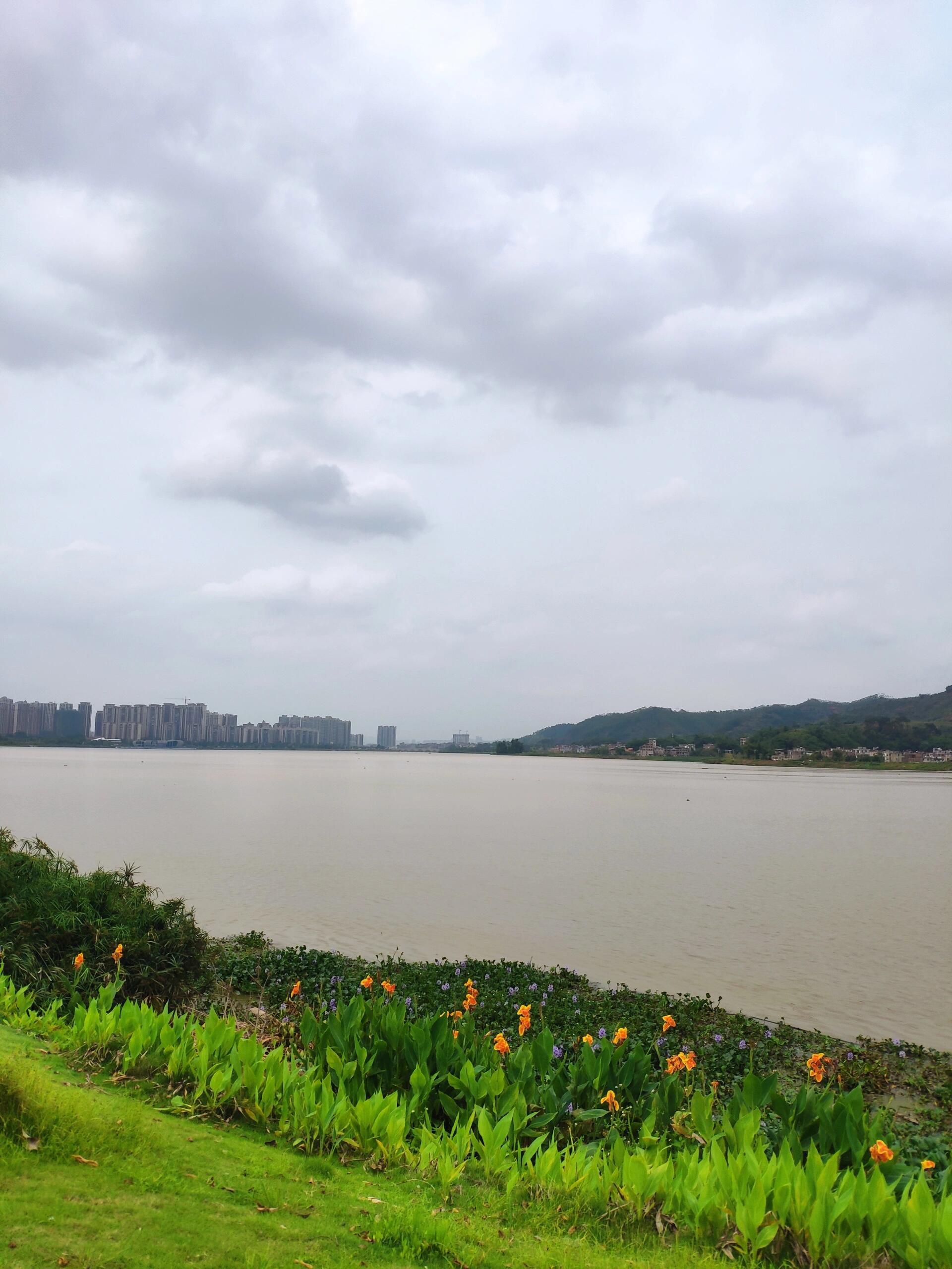 古凤公园旅行图片 1