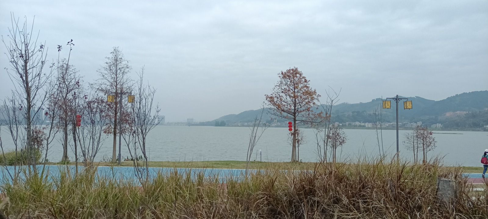 古凤公园旅行图片 1