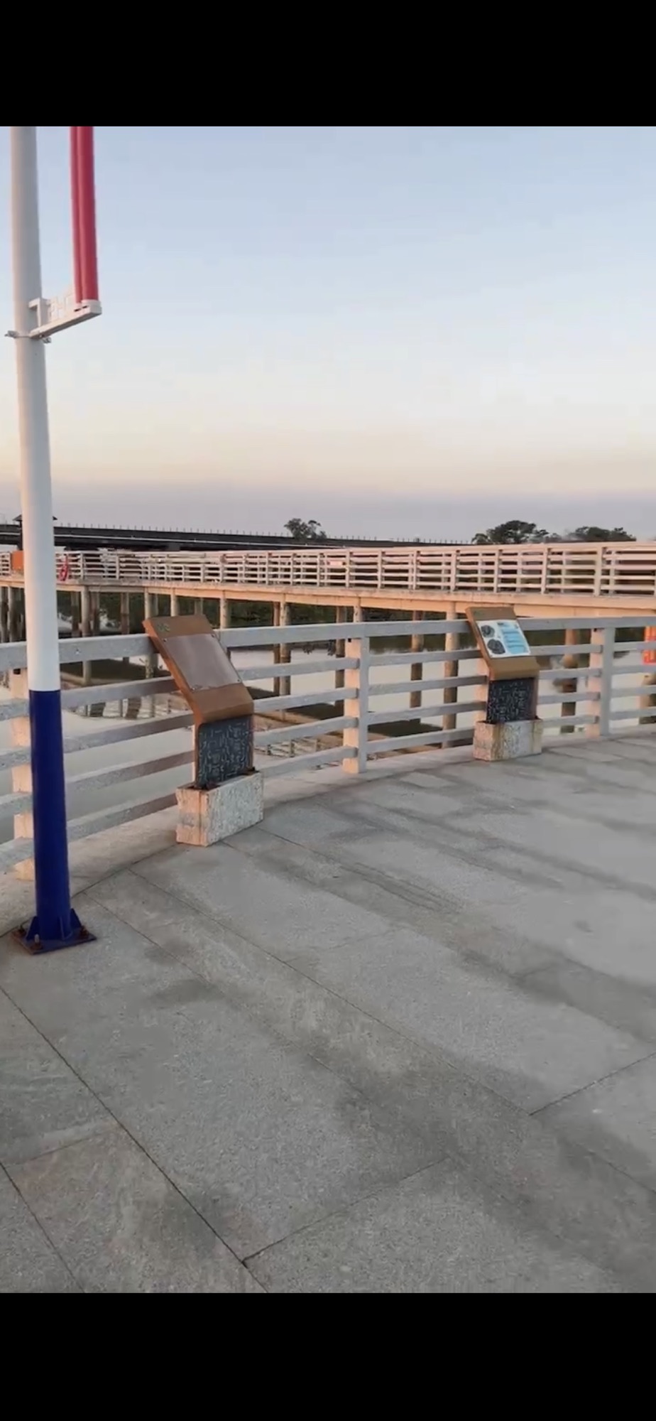 广东阳东寿长河红树林国家湿地公园(暂停开放)旅行图片 3