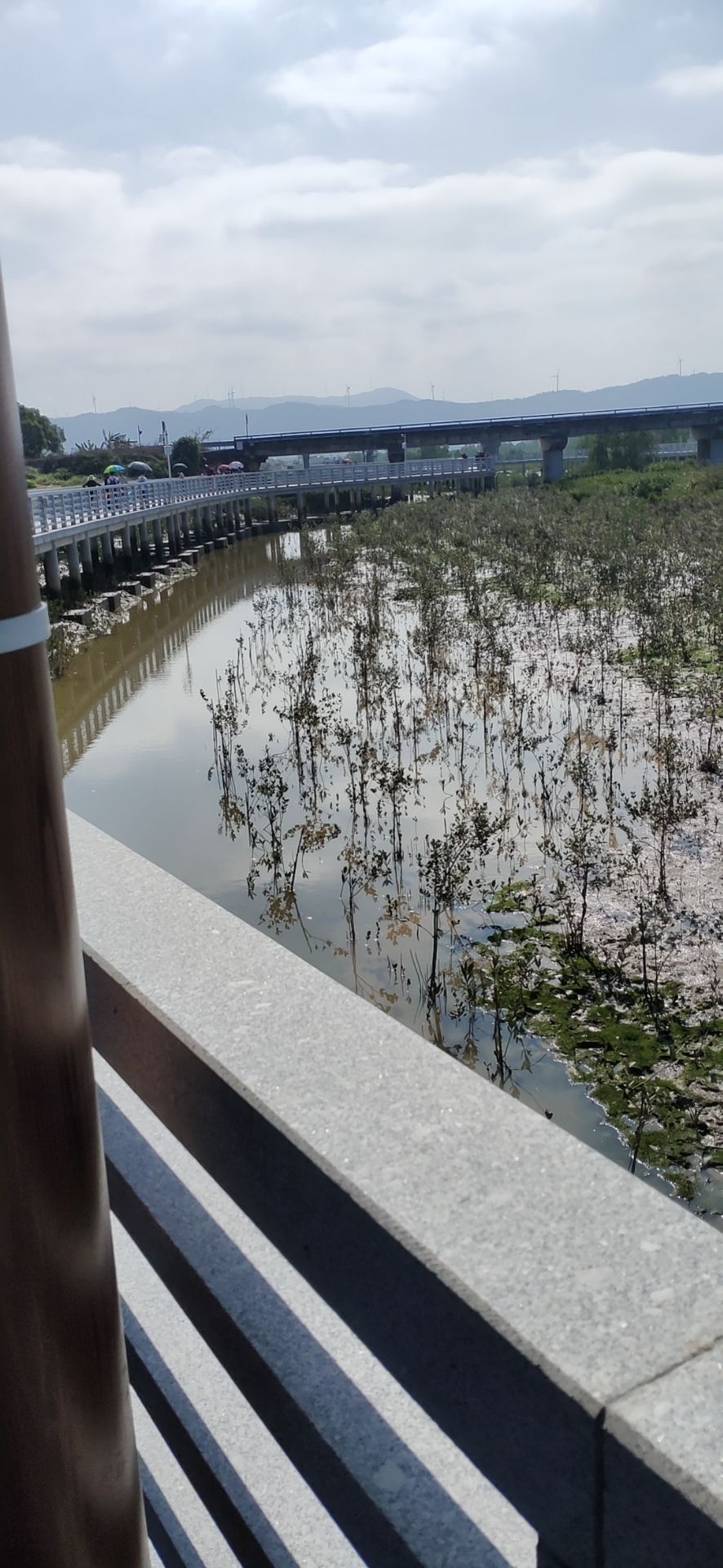 广东阳东寿长河红树林国家湿地公园(暂停开放)旅行图片 2