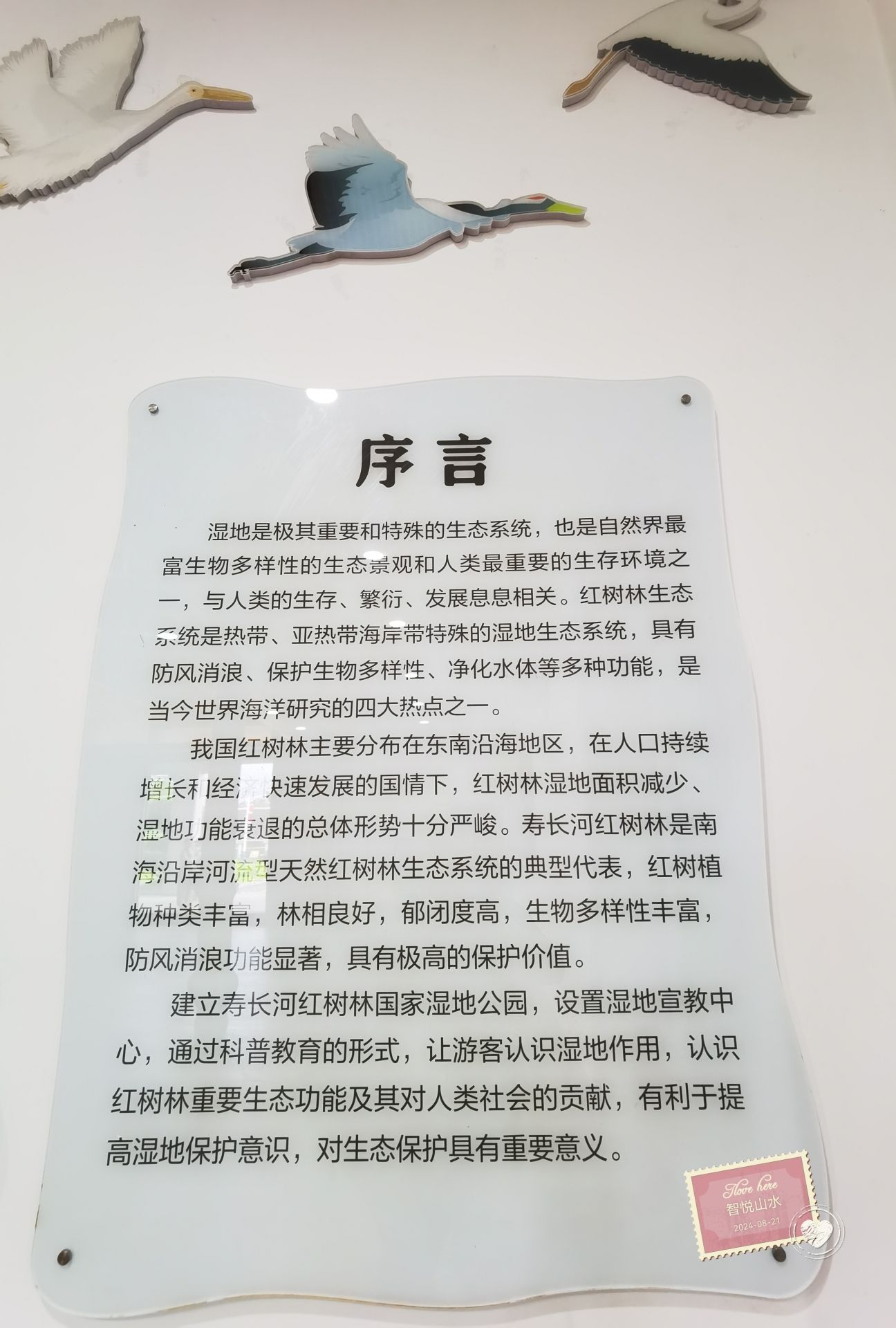 广东阳东寿长河红树林国家湿地公园(暂停开放)旅行图片 3