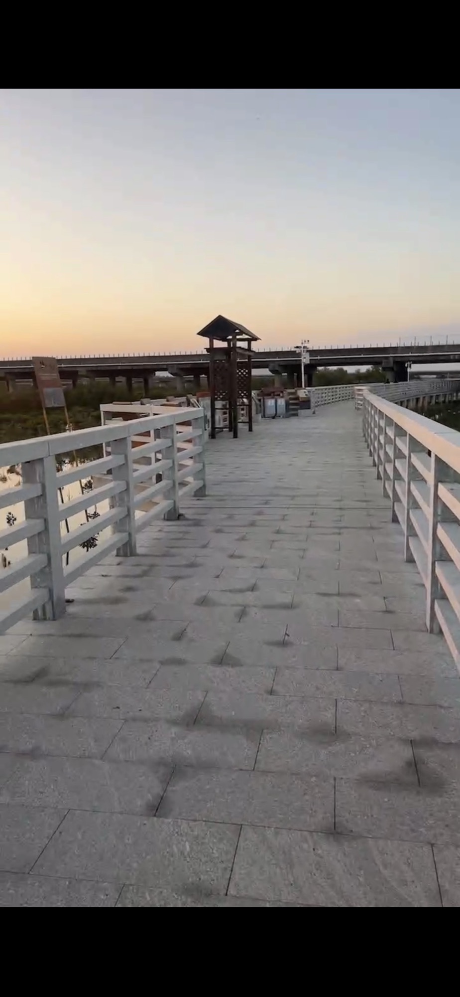 广东阳东寿长河红树林国家湿地公园(暂停开放)旅行图片 1
