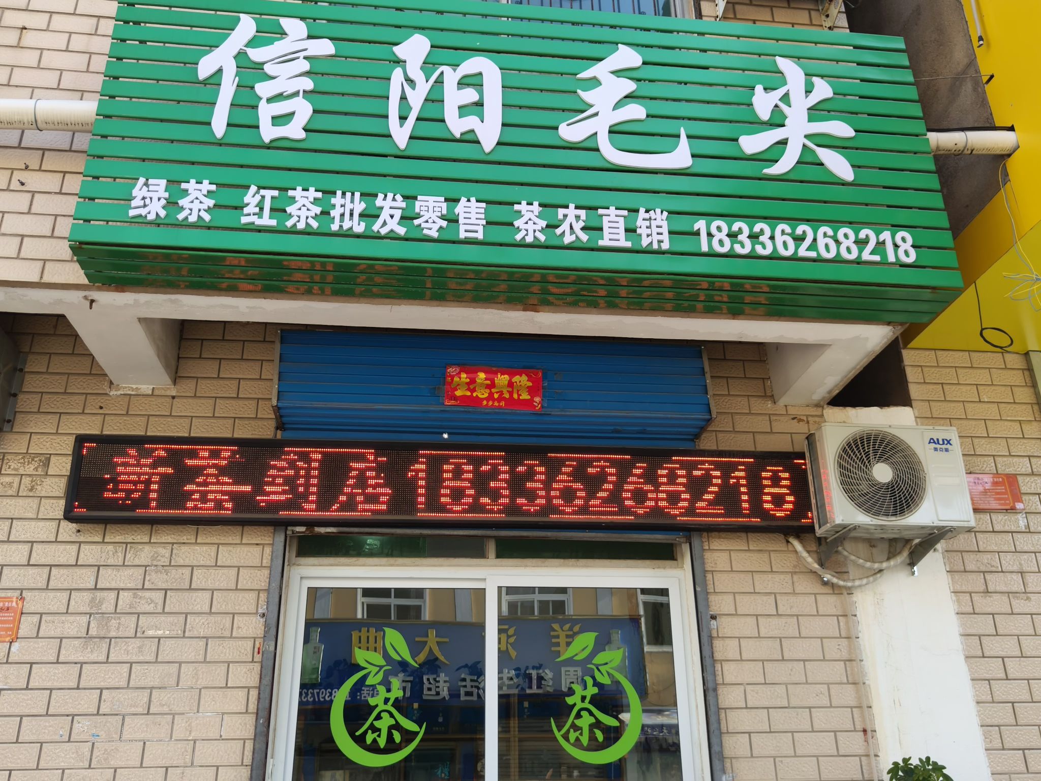 信阳毛尖