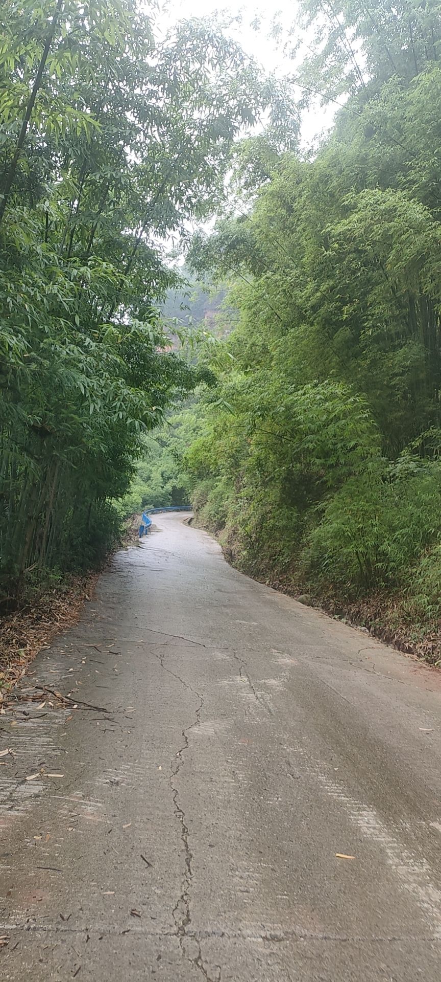 了情岩瀑布旅行图片 2