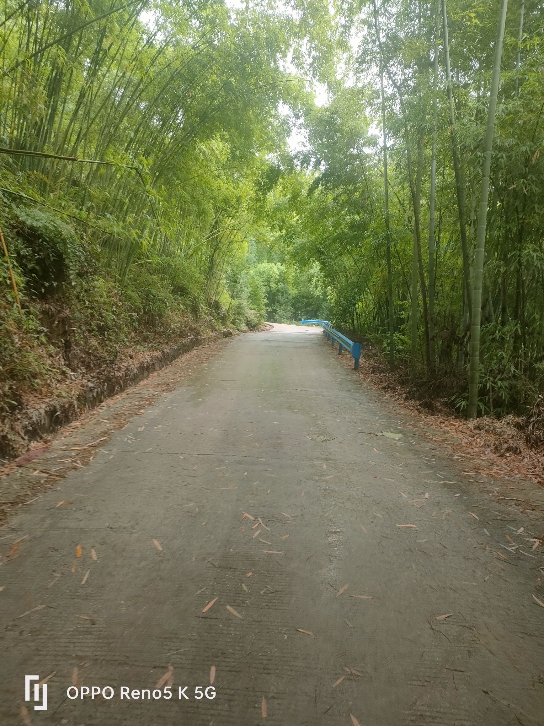 了情岩瀑布旅行图片 1