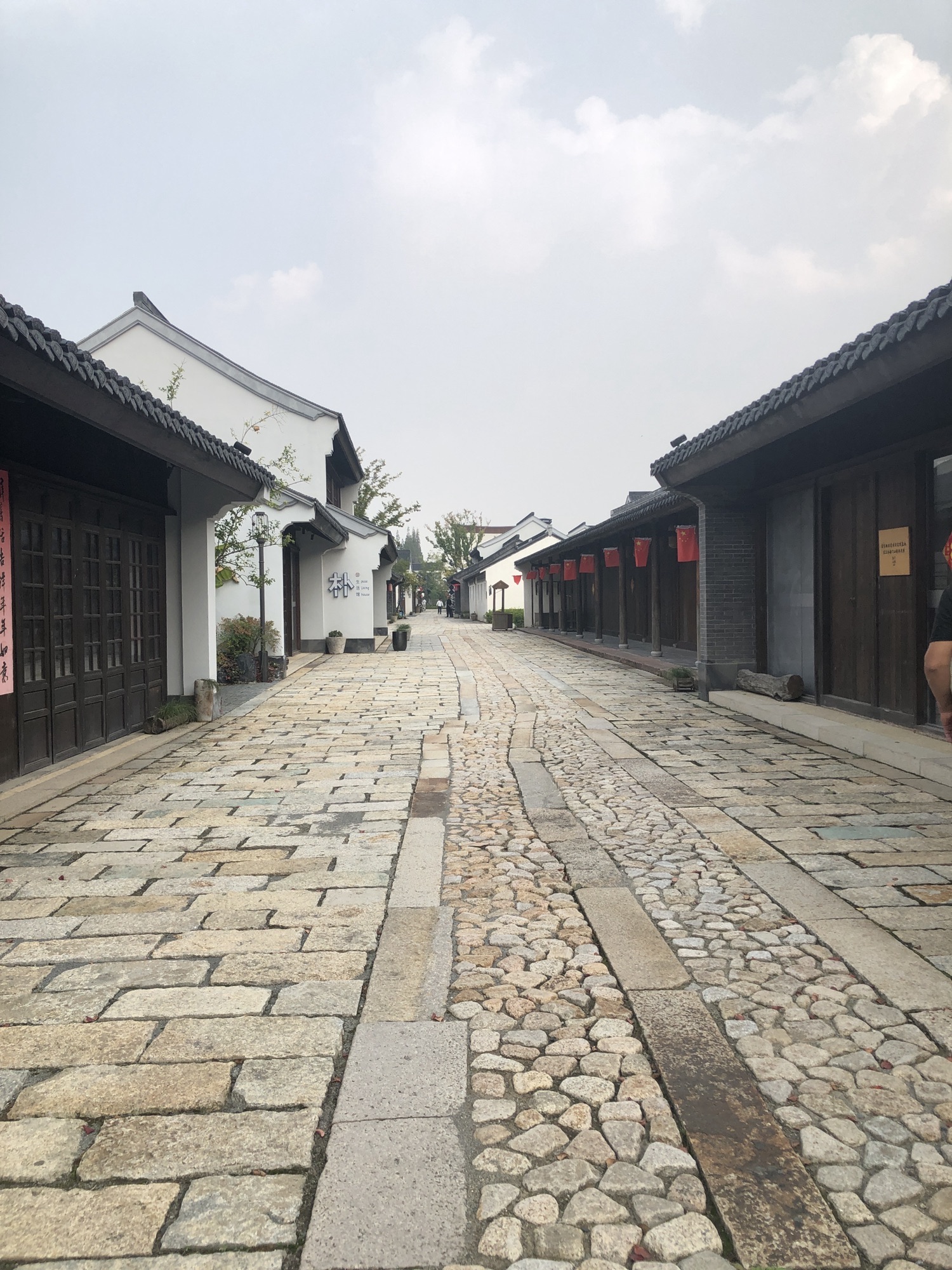 张謇故里·柳西半街旅行图片 1
