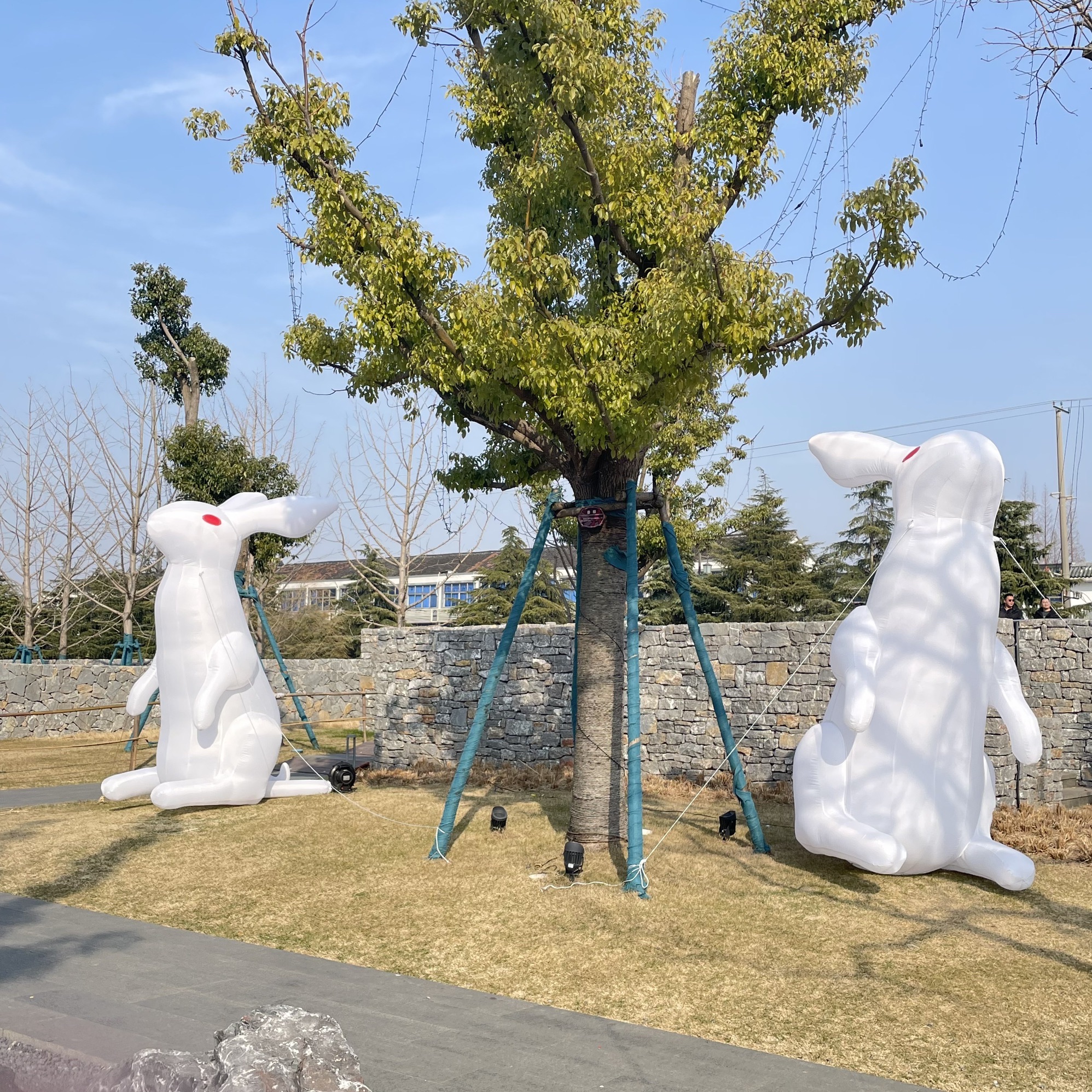 张謇故里·柳西半街旅行图片 2