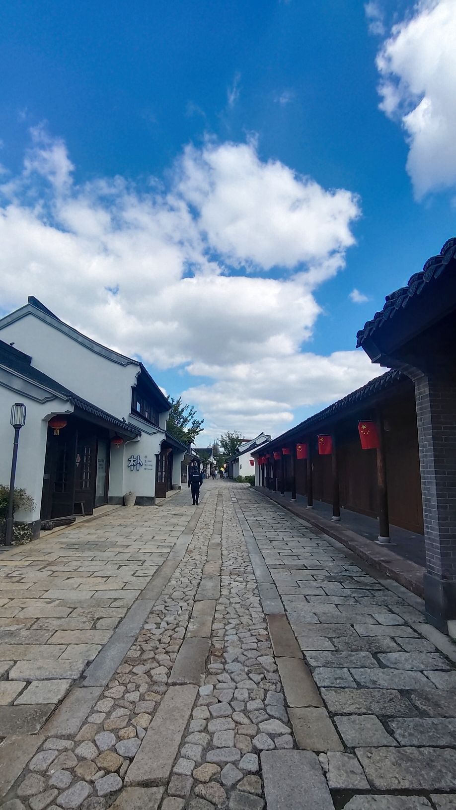 张謇故里·柳西半街旅行图片 2