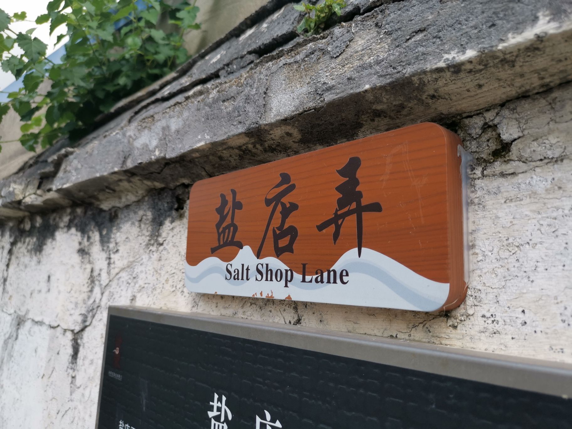张謇故里·柳西半街旅行图片 3