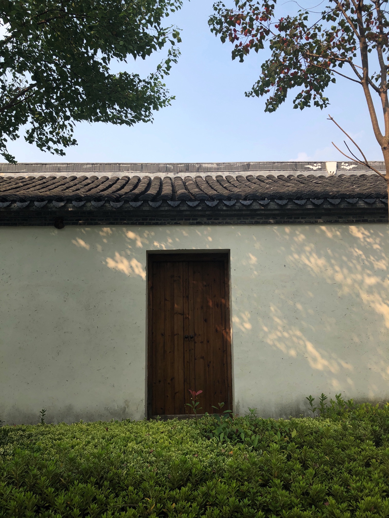 张謇故里·柳西半街旅行图片 2