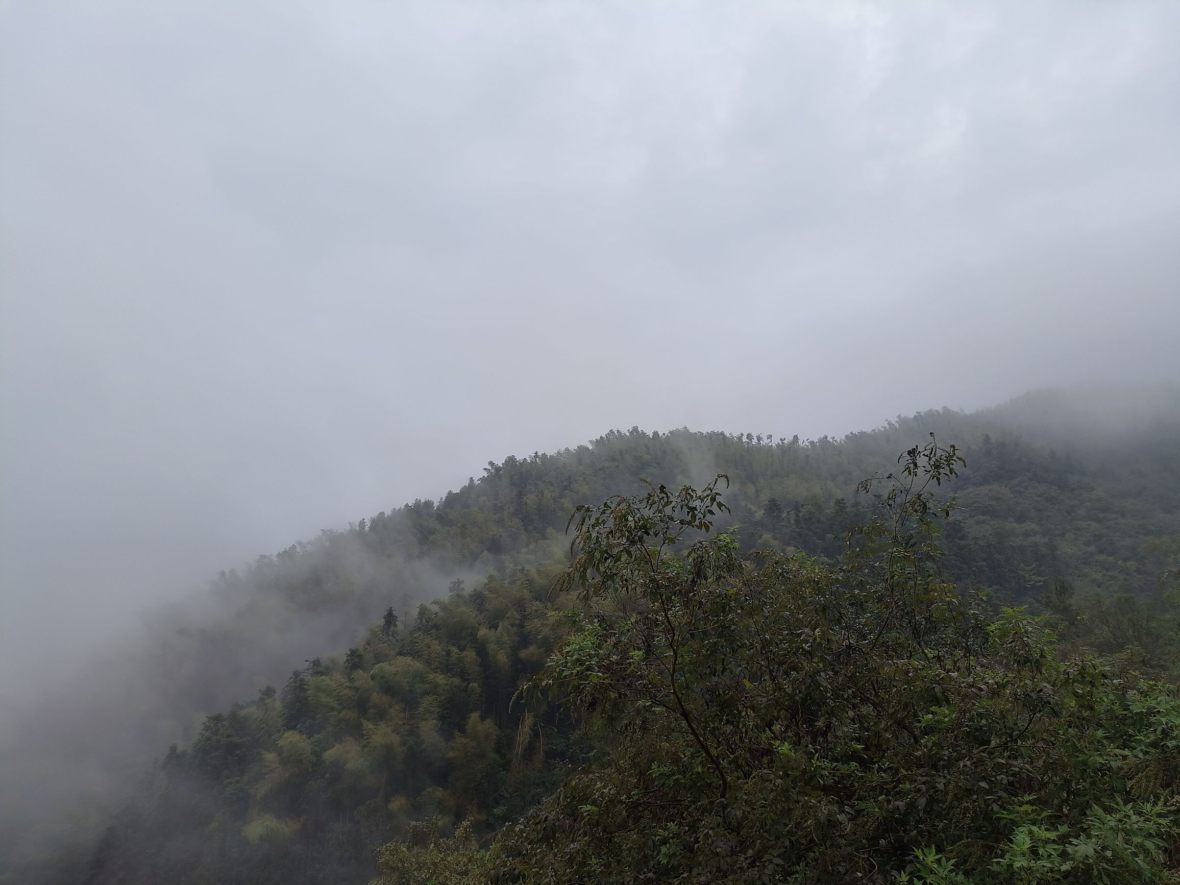 古塔峰旅行图片 1