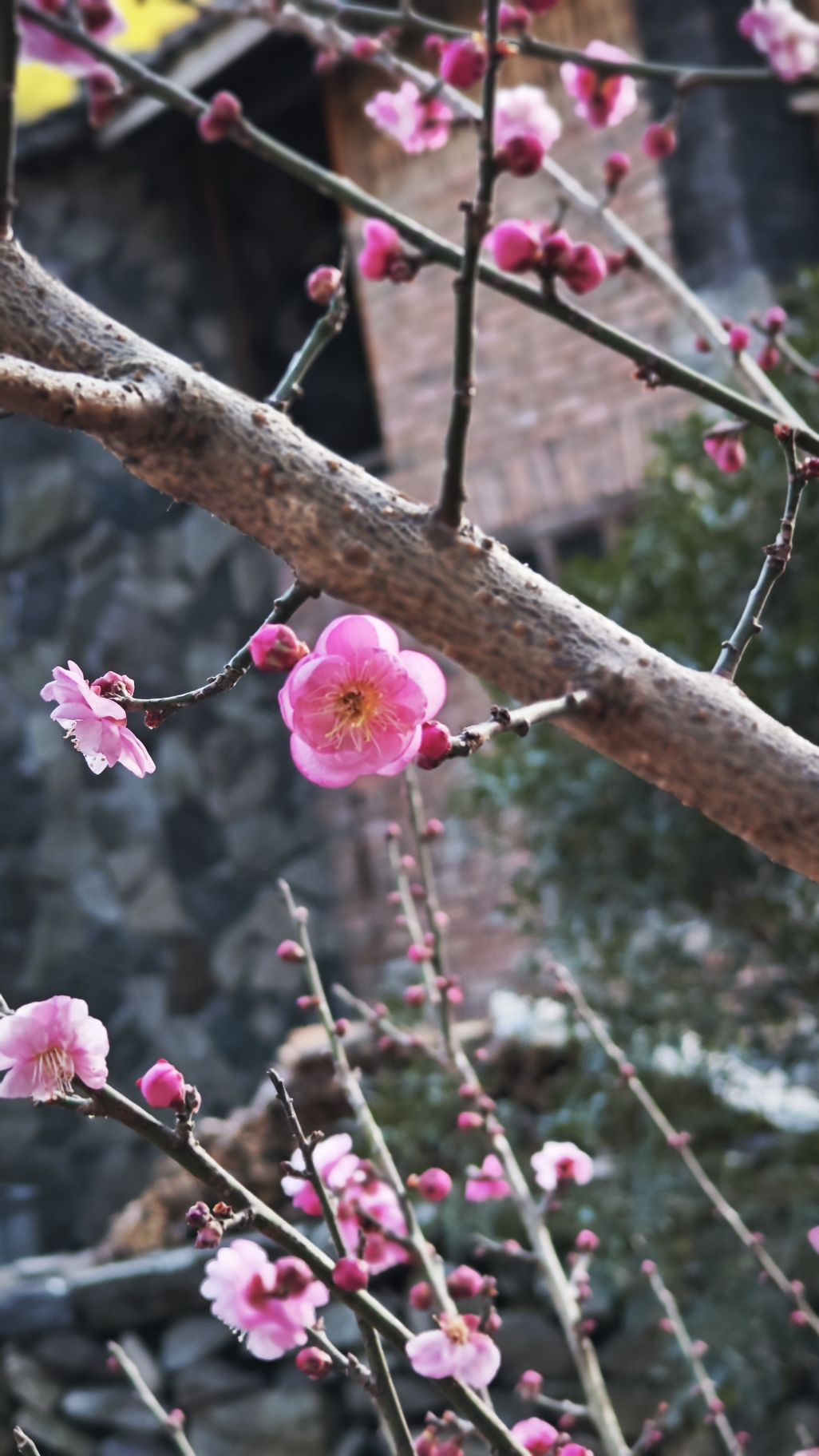 岩下石头村景区旅行图片 2