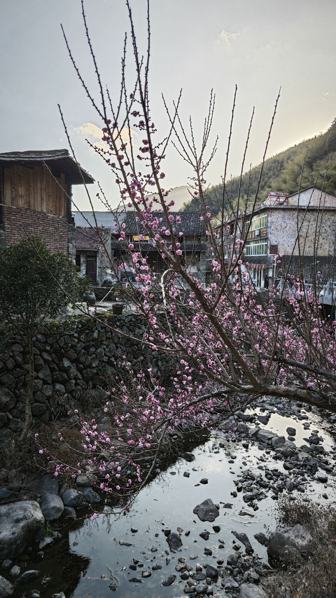 岩下石头村景区旅行图片 3