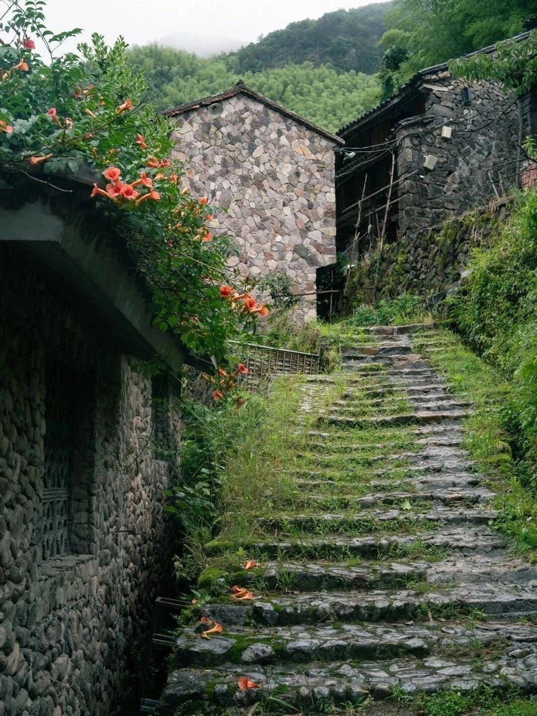 岩下石头村景区旅行图片 3