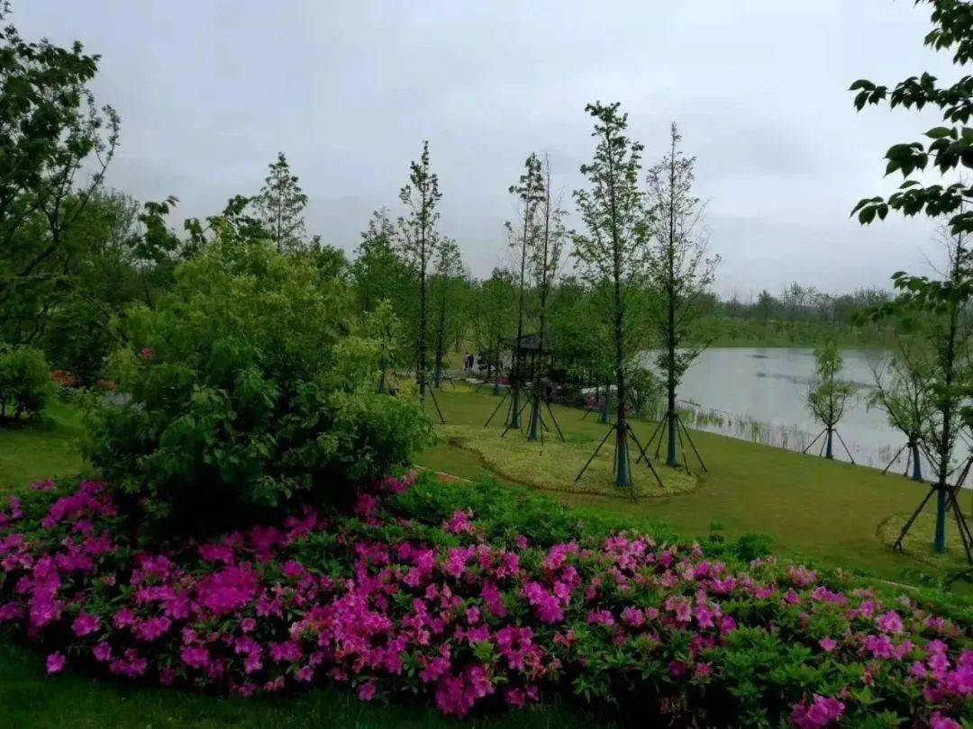 汊河镇临溪公园旅行图片 1