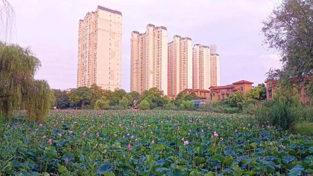汊河镇临溪公园旅行图片 2
