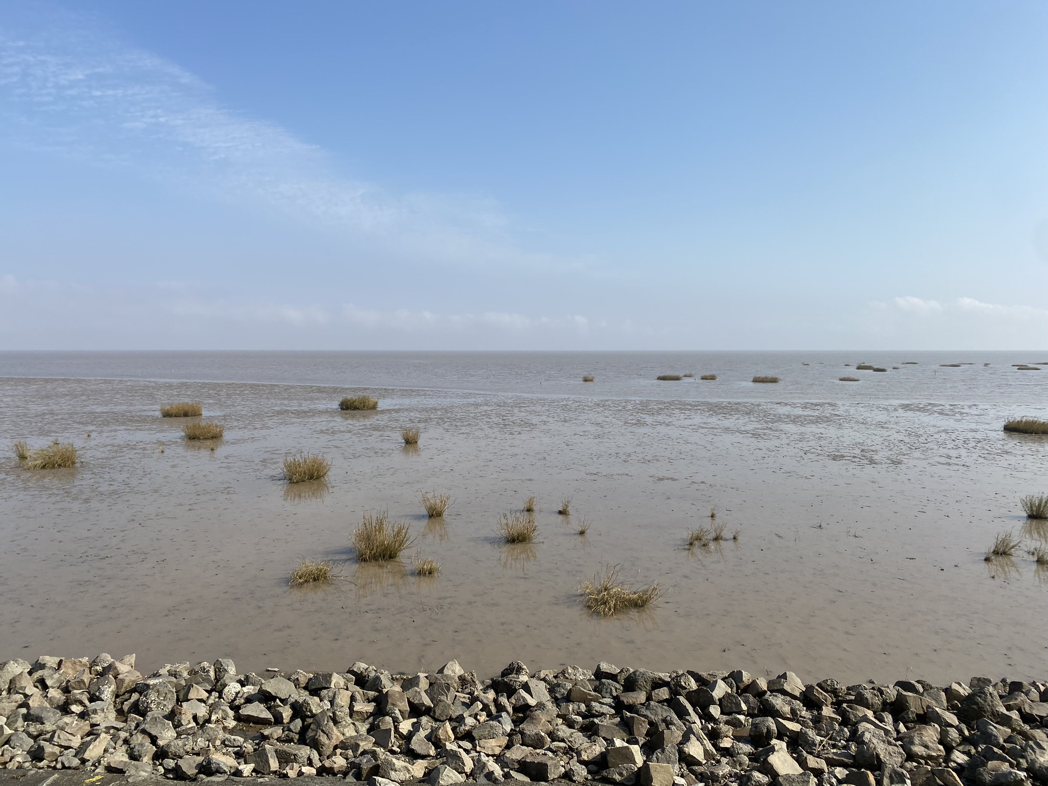 大丰黄海湿地公园入口处世界自然遗产中国黄(渤)海候鸟栖息地旅行图片 3