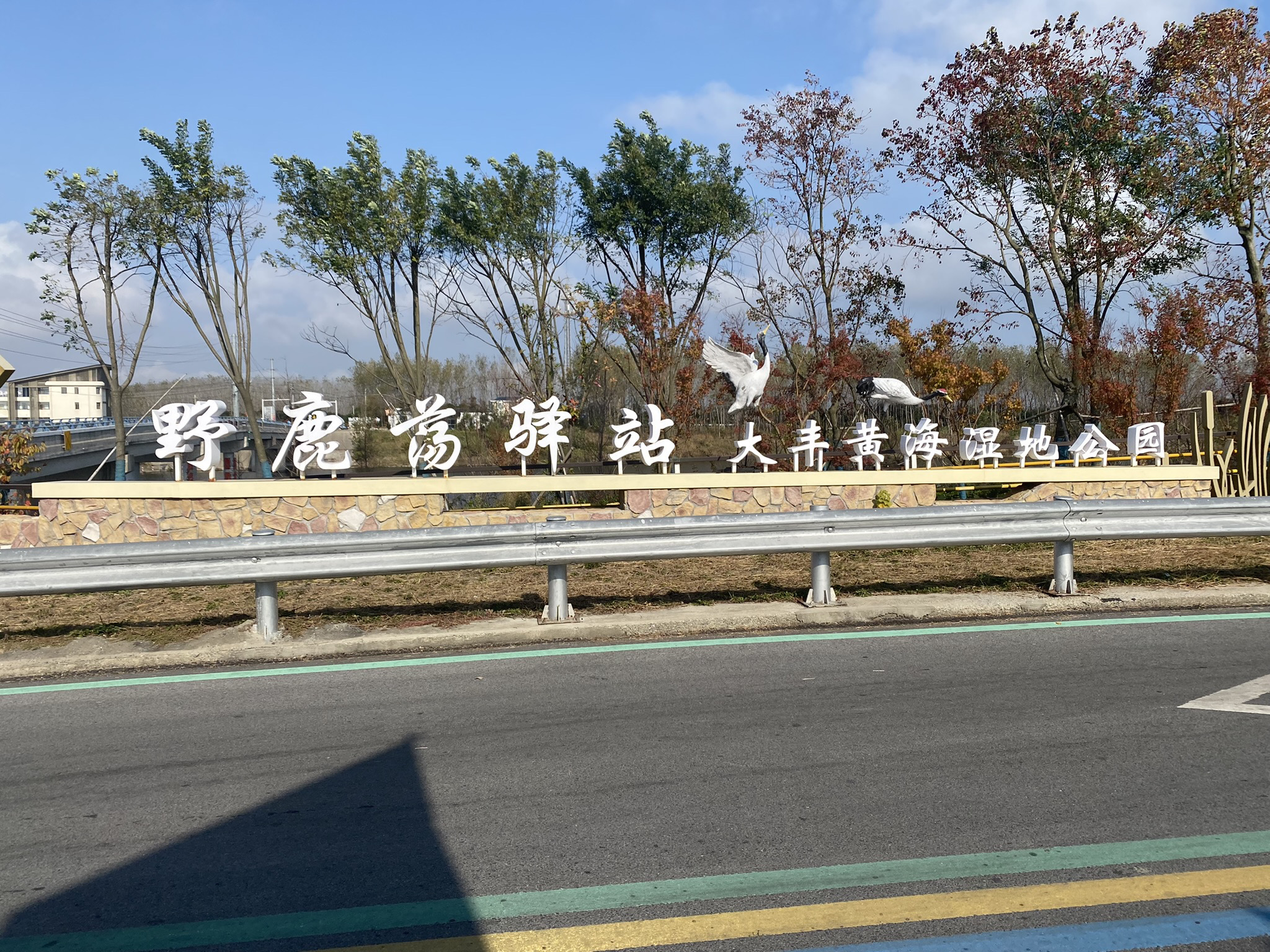 大丰黄海湿地公园入口处世界自然遗产中国黄(渤)海候鸟栖息地旅行图片 1