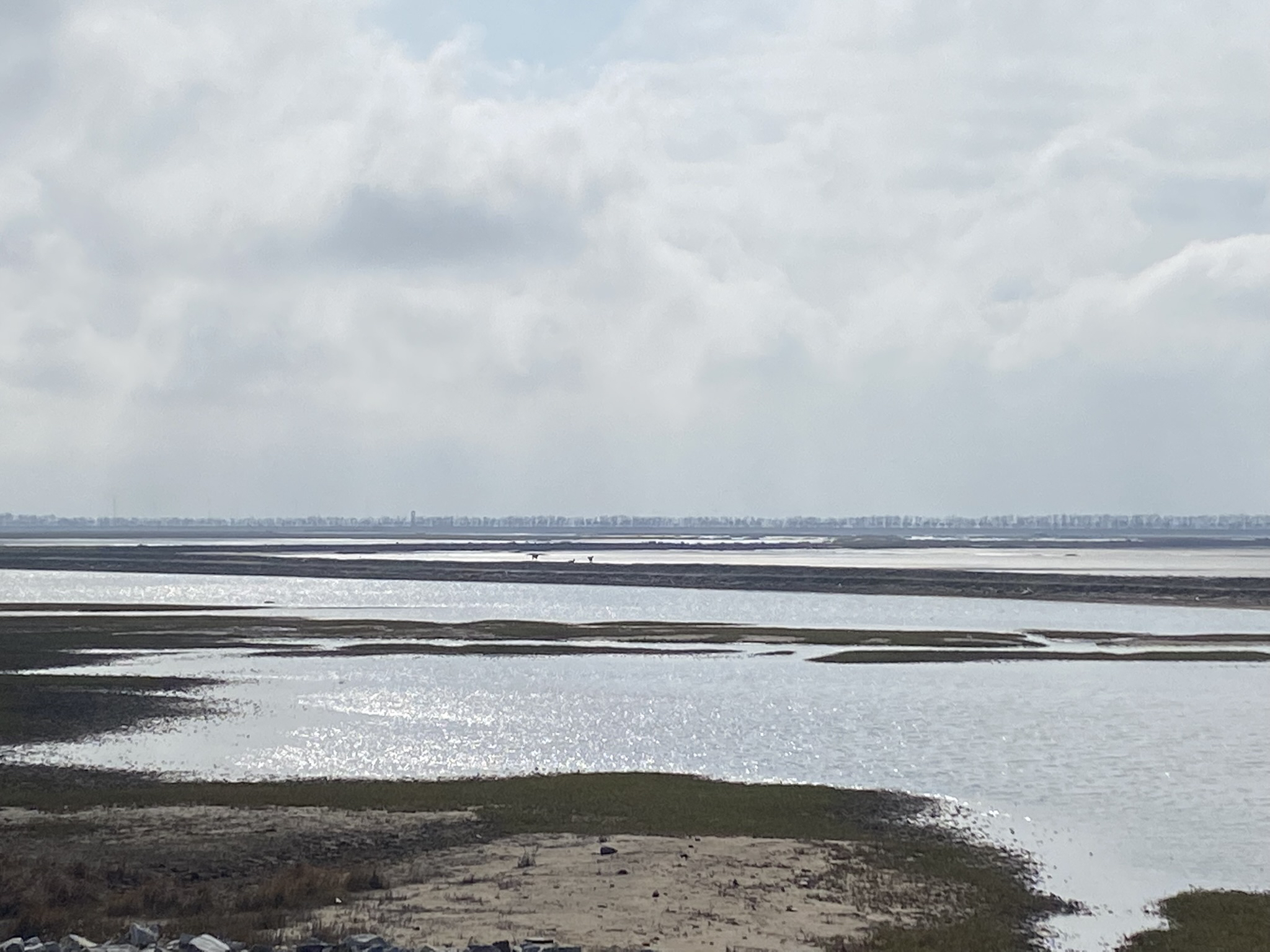 大丰黄海湿地公园入口处世界自然遗产中国黄(渤)海候鸟栖息地旅行图片 2