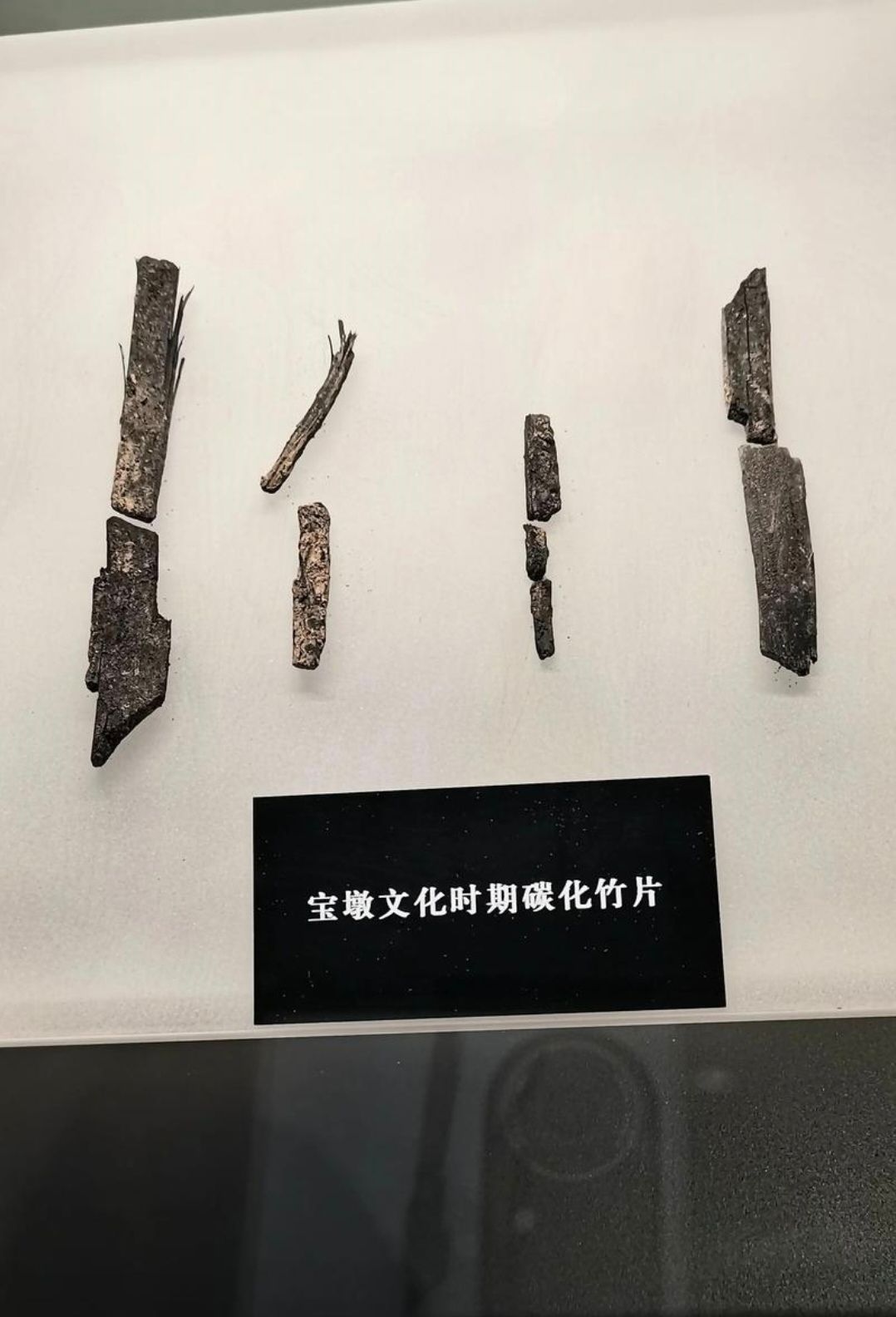 宝墩遗址考古工作站旅行图片 2
