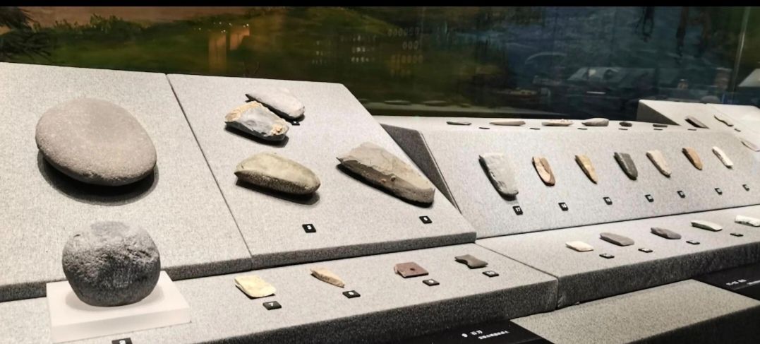 宝墩遗址考古工作站旅行图片 3