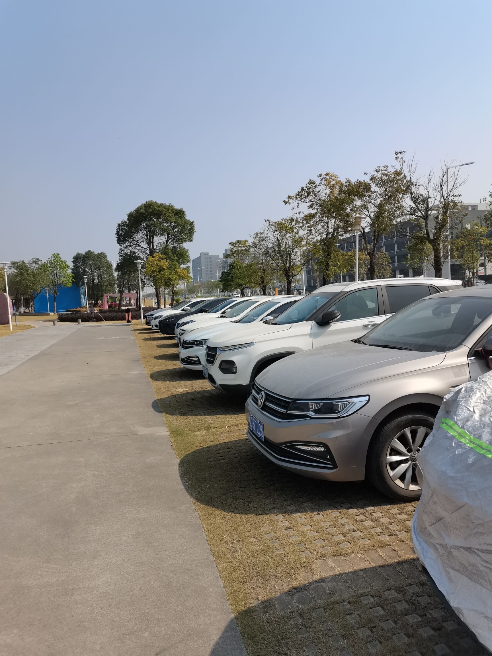 富山工业园雷蛛公园旅行图片
