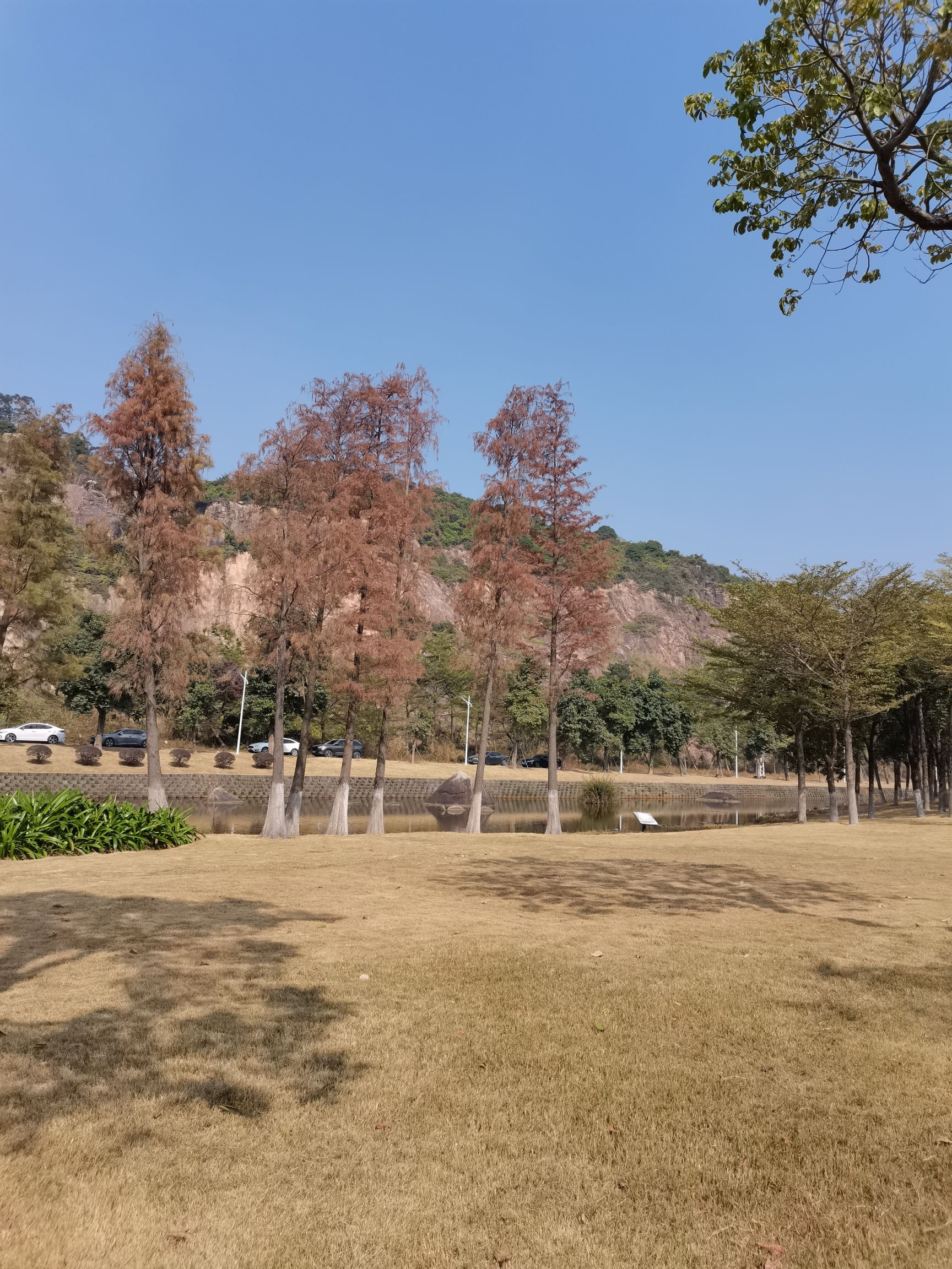 富山工业园雷蛛公园旅行图片 3