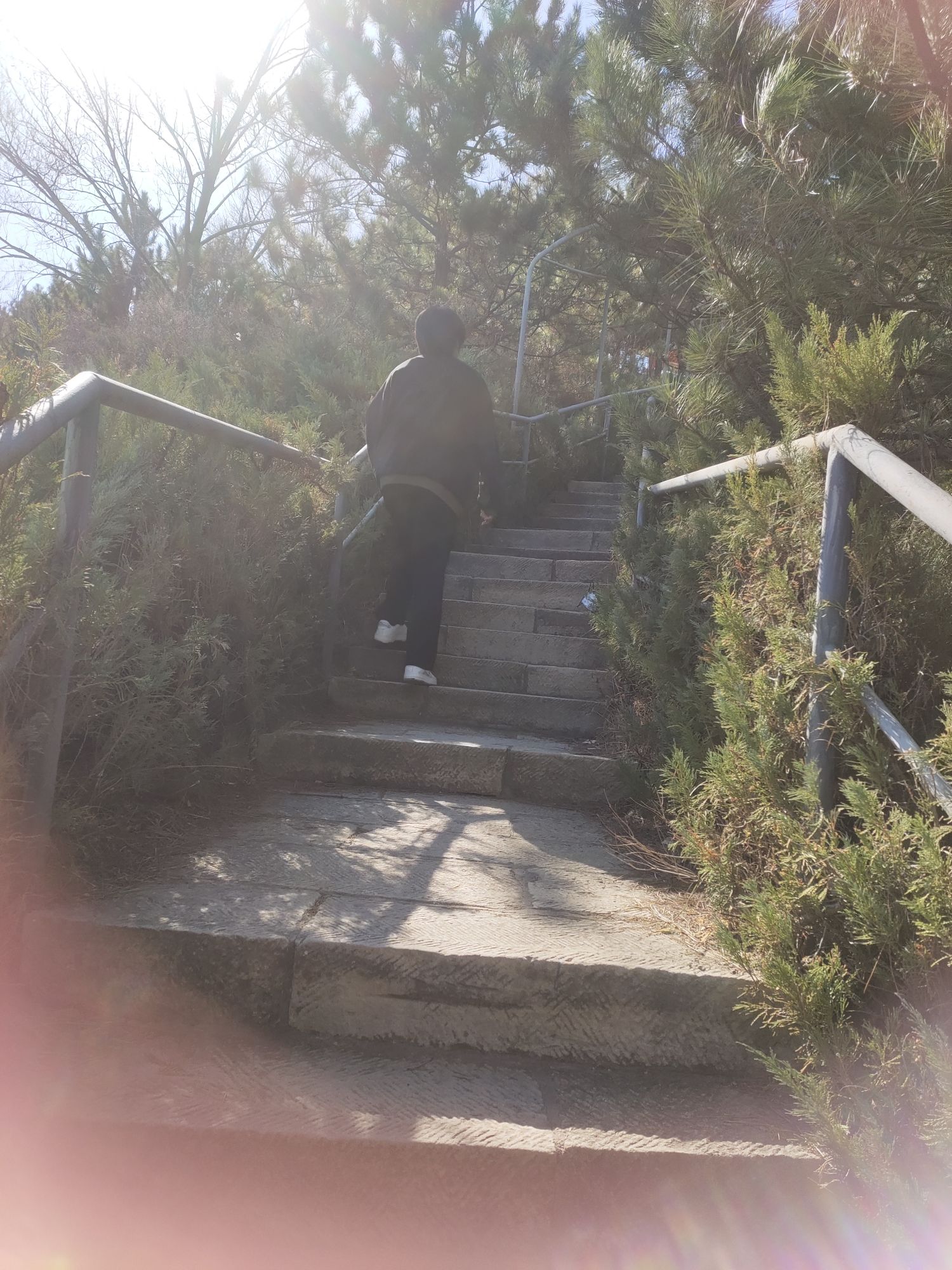 丰宁满族自治县西山社区登山步道旅行图片 3
