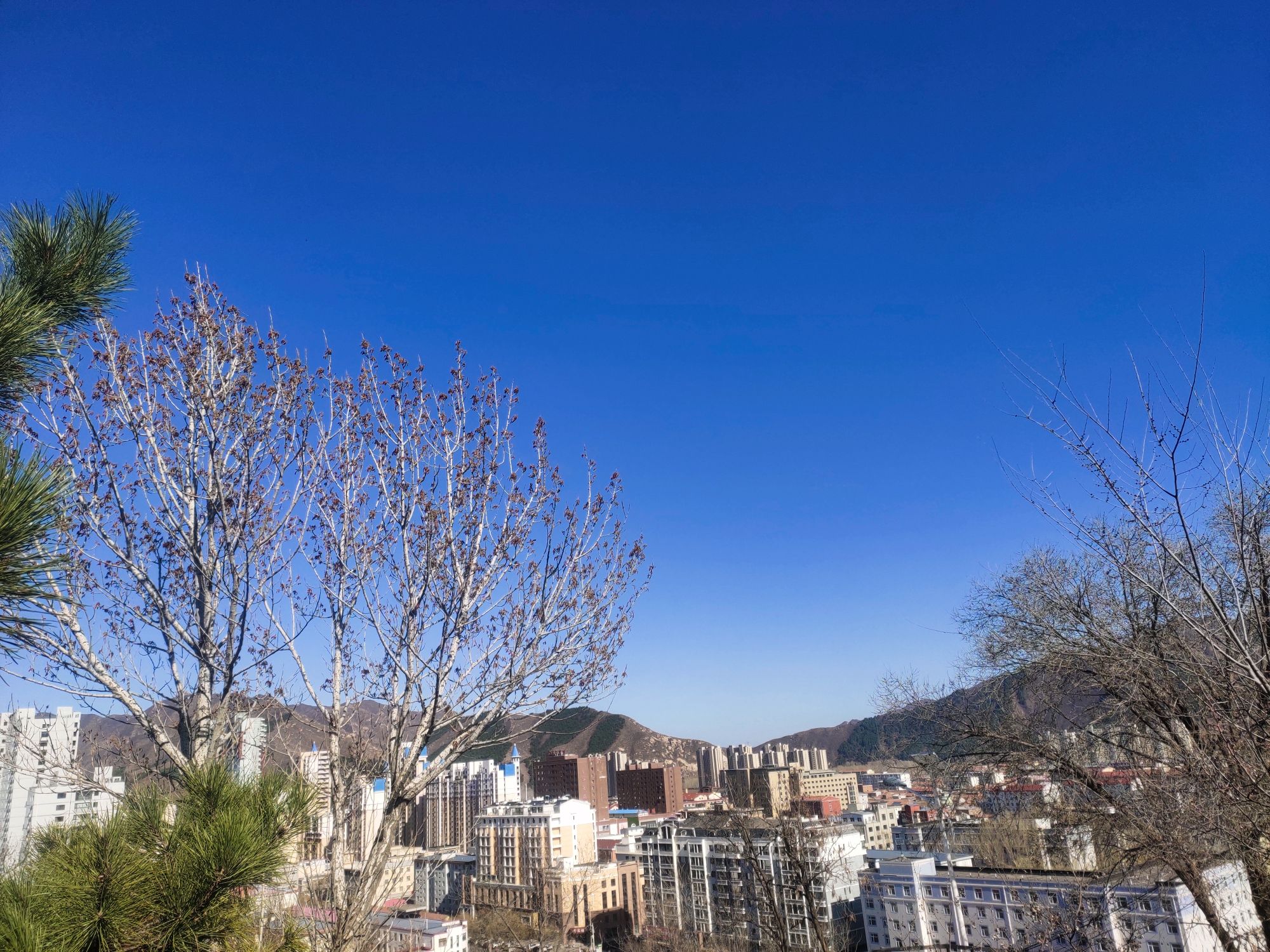 丰宁满族自治县西山社区登山步道旅行图片 1