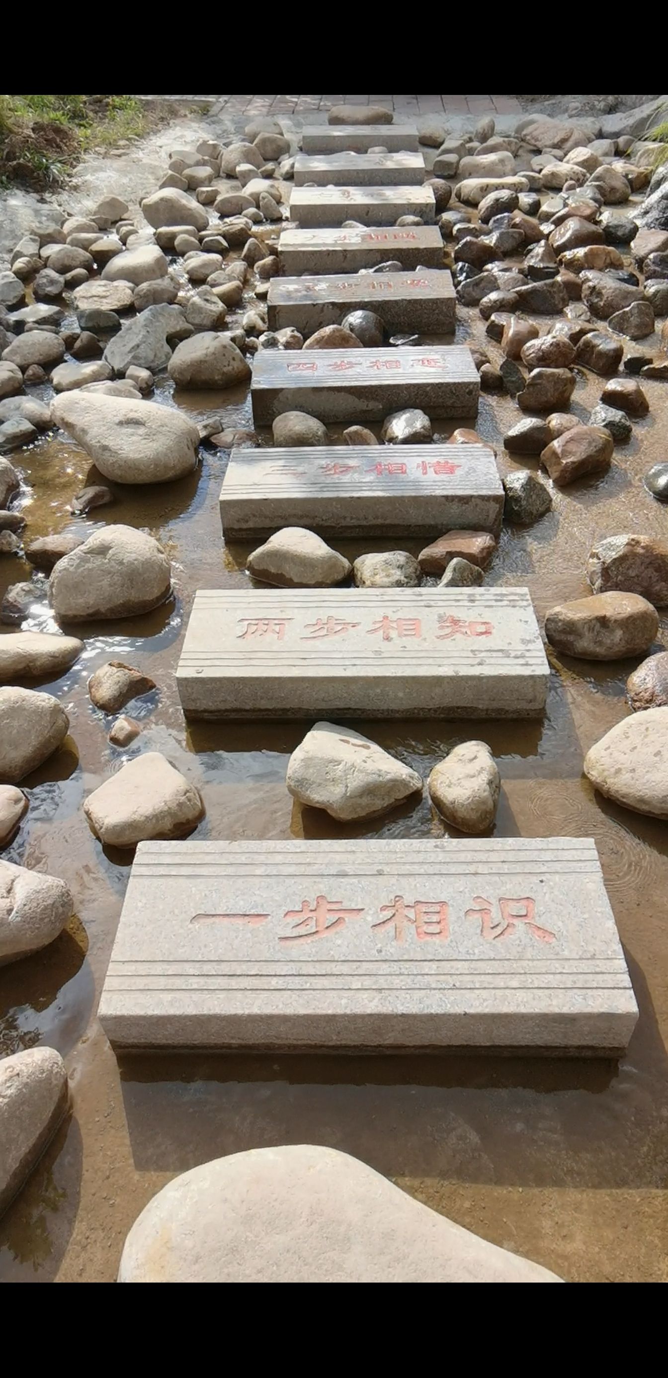 紫蒙湖太阳岛景区旅行图片 1