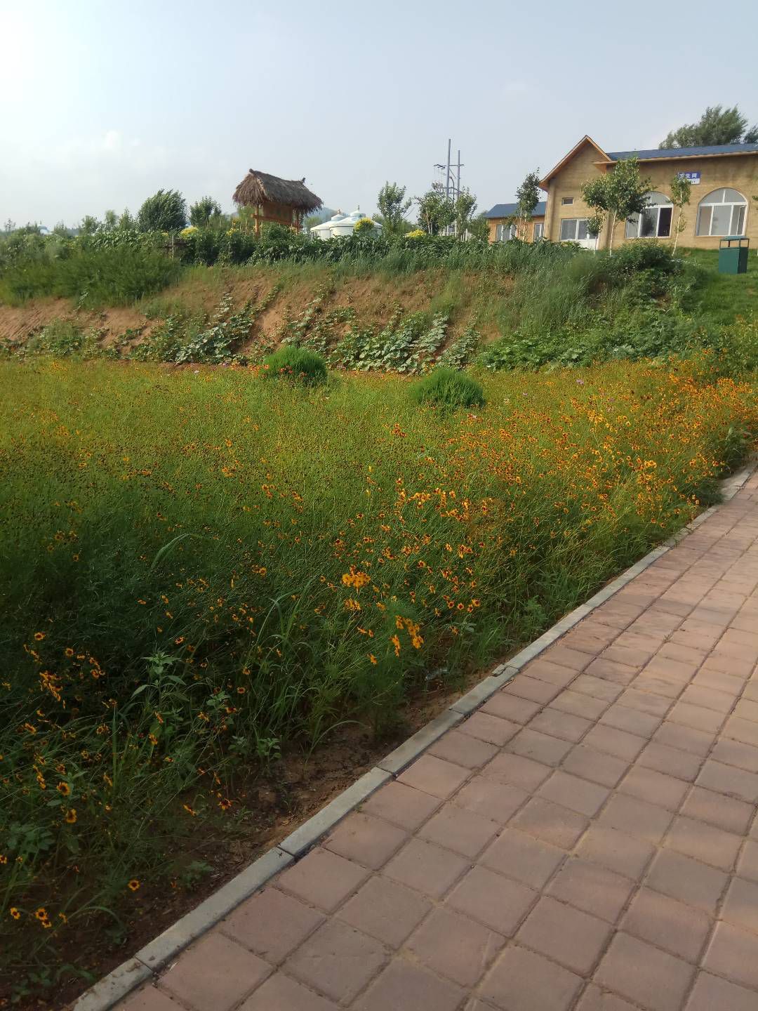 紫蒙湖太阳岛景区旅行图片 3