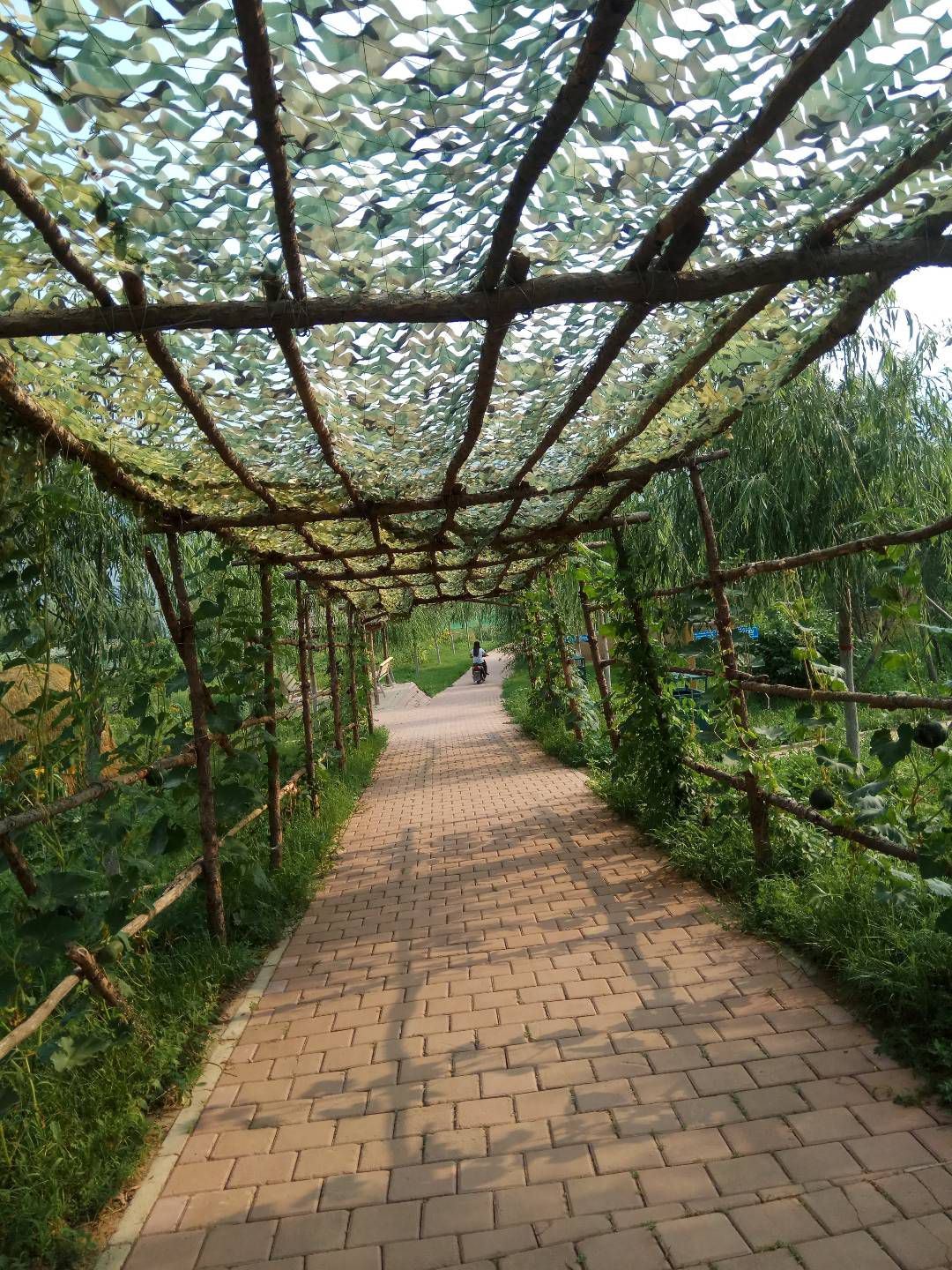 紫蒙湖太阳岛景区旅行图片 2