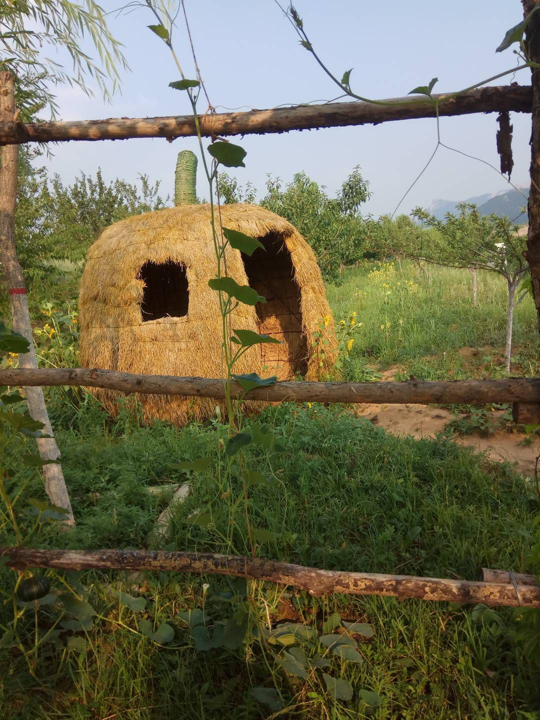 紫蒙湖太阳岛景区旅行图片 1