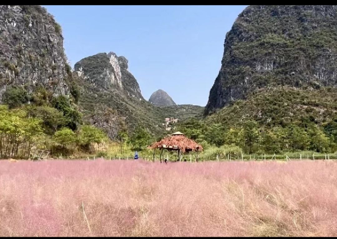 花田拾光花海旅行图片 1