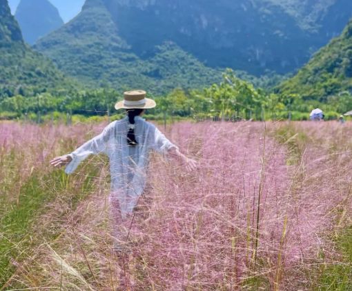 花田拾光花海旅行图片 2