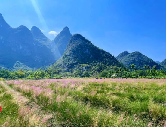 花田拾光花海旅行图片 1