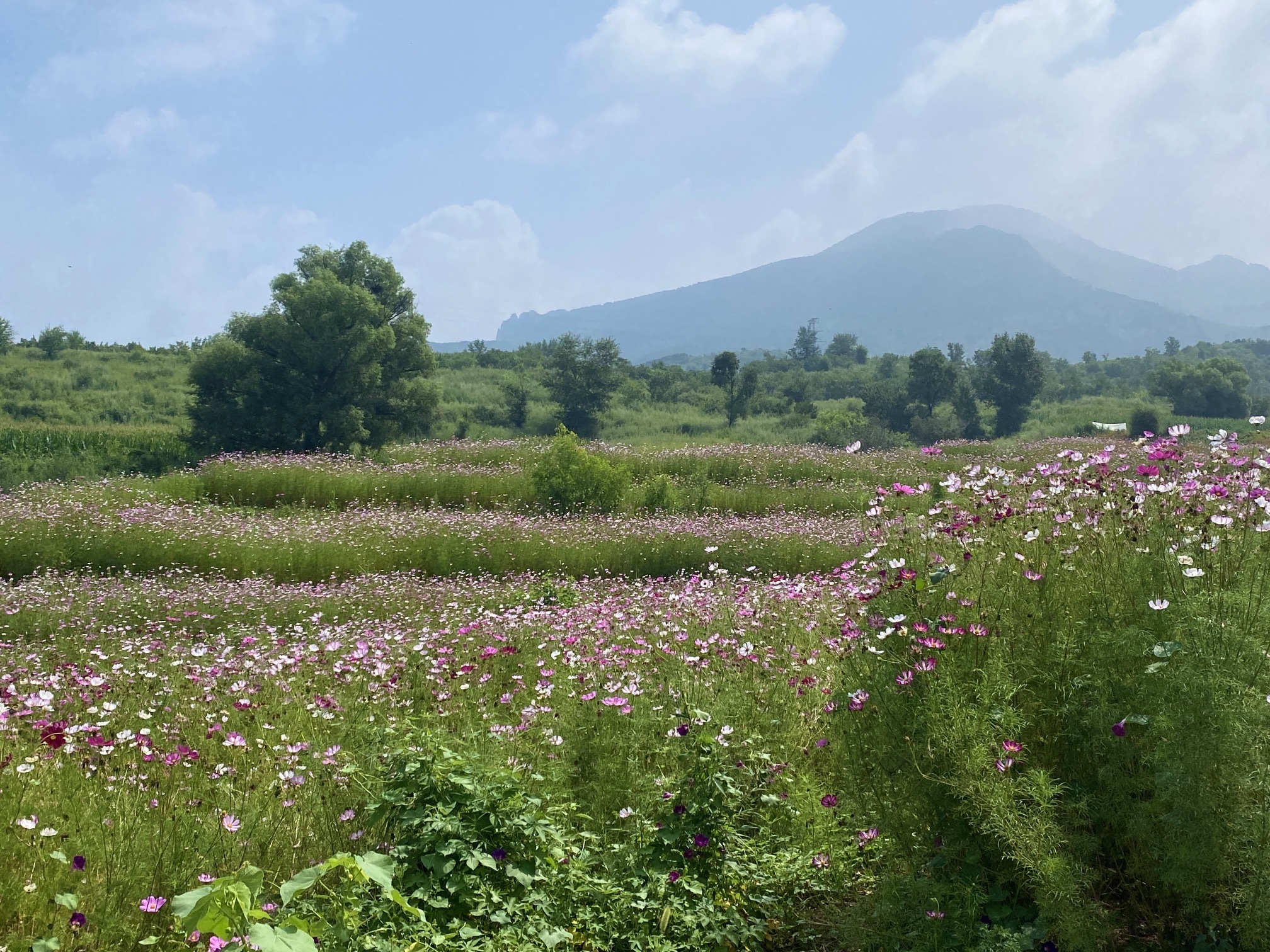 牧蓝谷生态休闲度假区(暂停开放)旅行图片 2