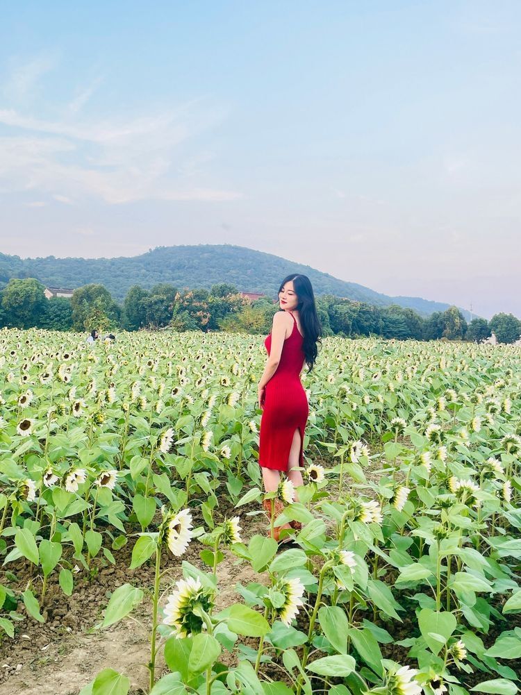 翠屏山旅游度假区旅行图片 2