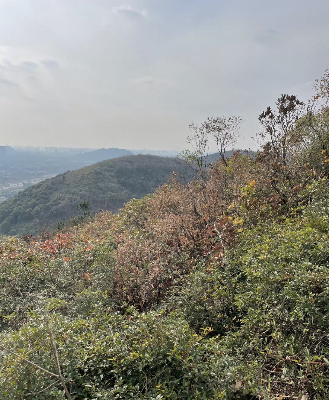 翠屏山旅游度假区旅行图片 3