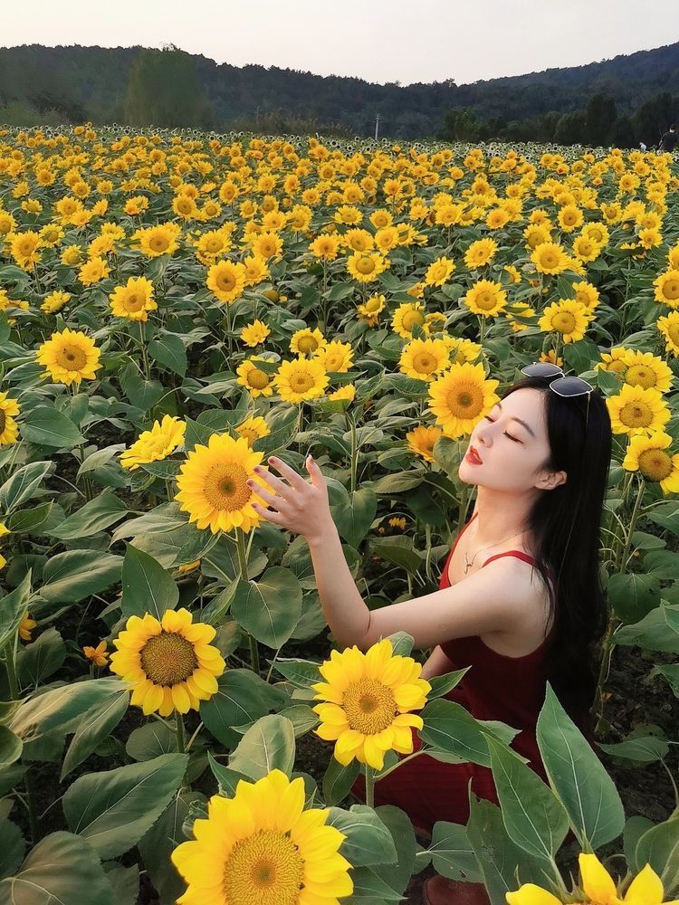 翠屏山旅游度假区旅行图片 1