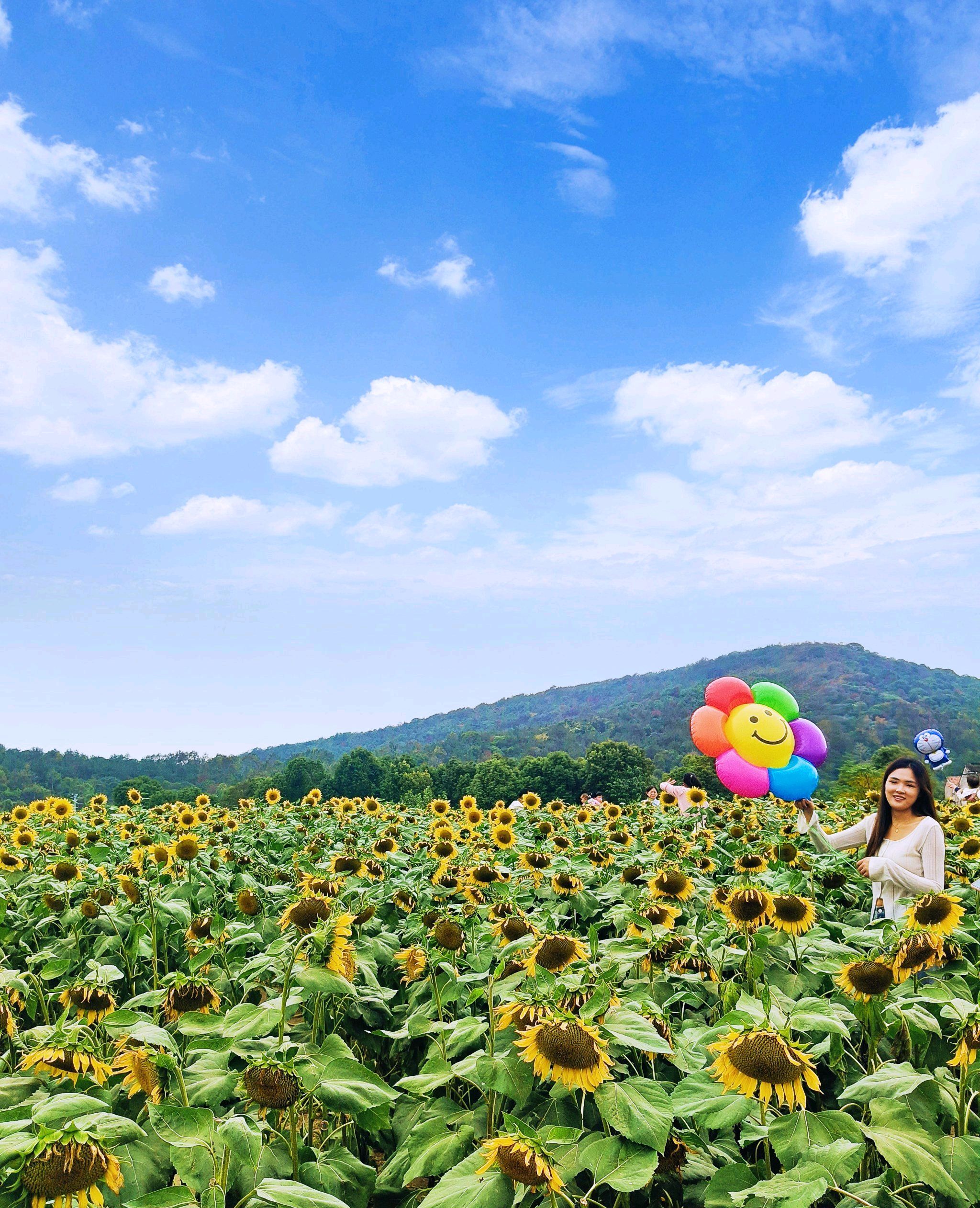 翠屏山旅游度假区旅行图片 3