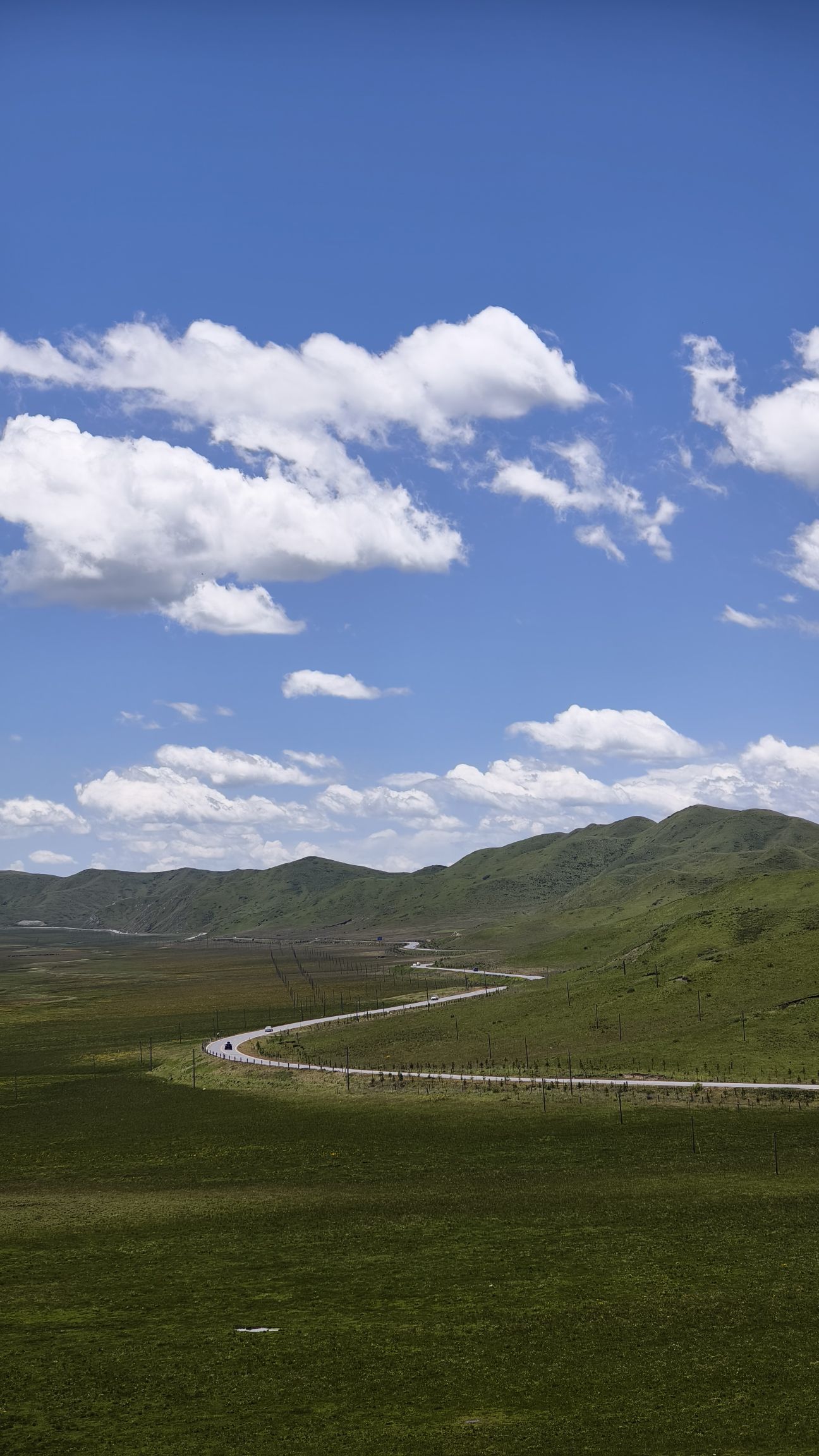 象鼻山观景台旅行图片 3