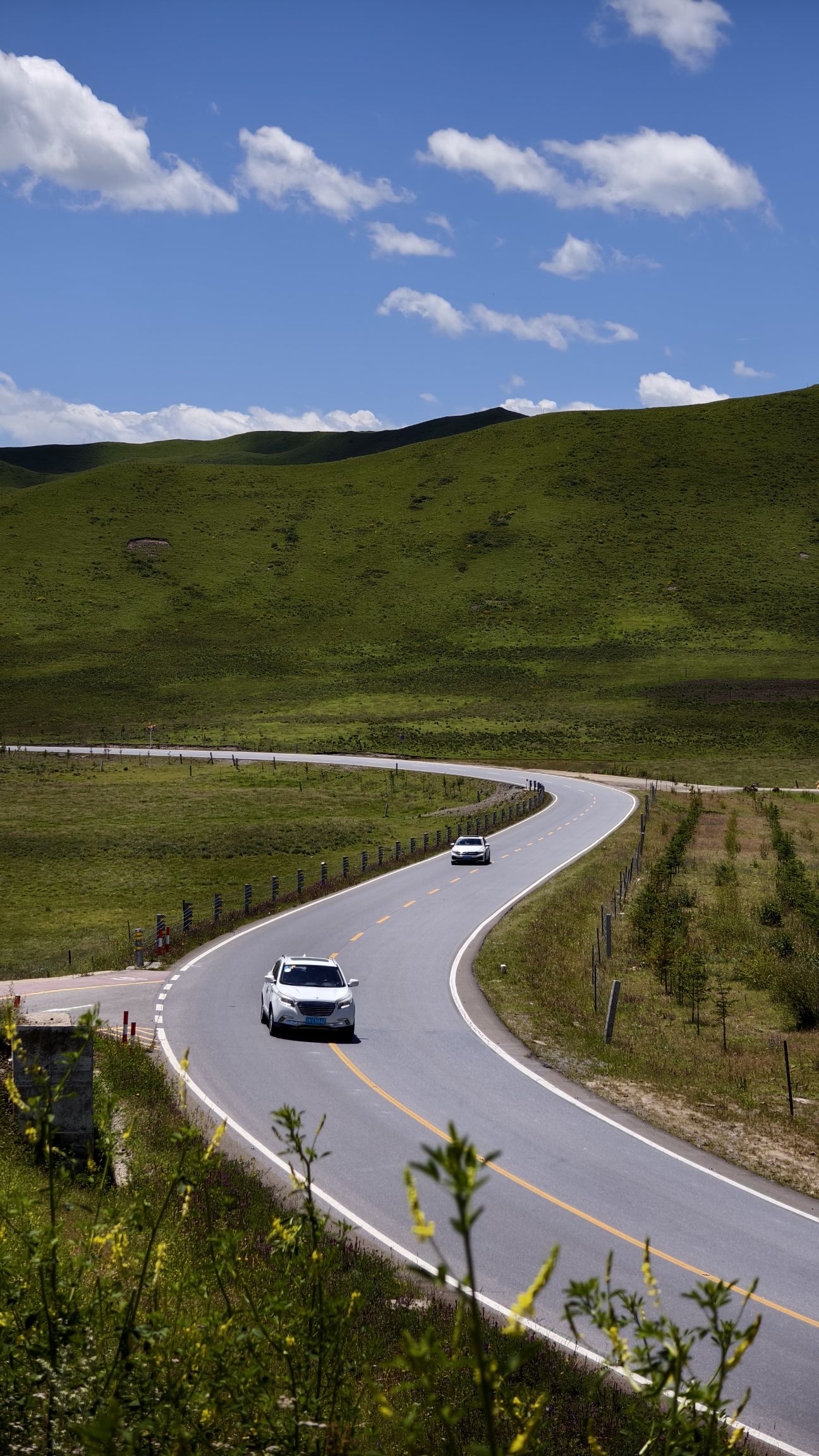 象鼻山观景台旅行图片 2